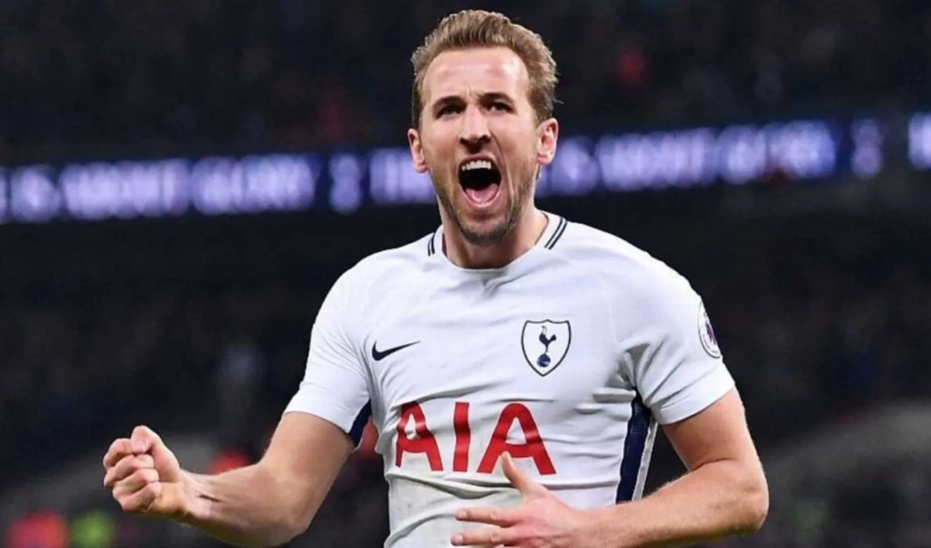 Tottenham Hotspurs ab London: Harry-Kane