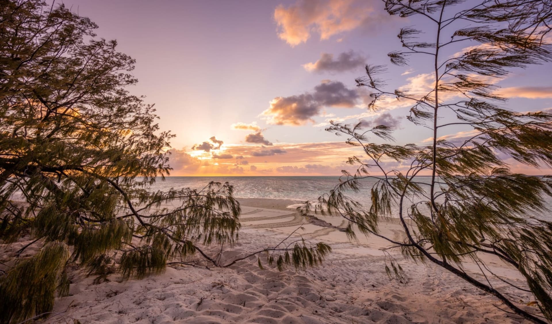 Heron Island Resort: Heron-island_beach