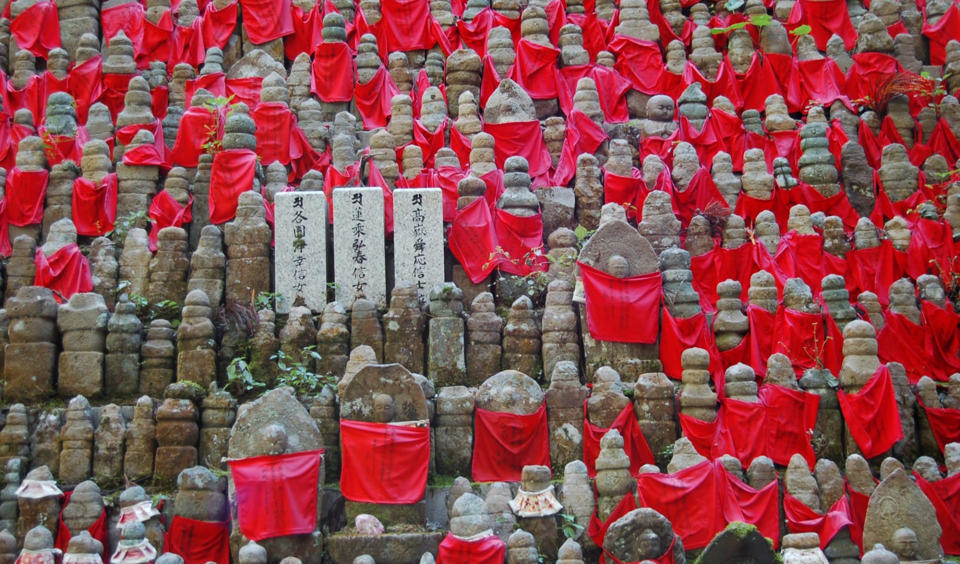 Weltkulturerbe Koya-San Klöster ab Kyoto: Hundreds of buddha statues in Okunoin Cemetery, Koyasan