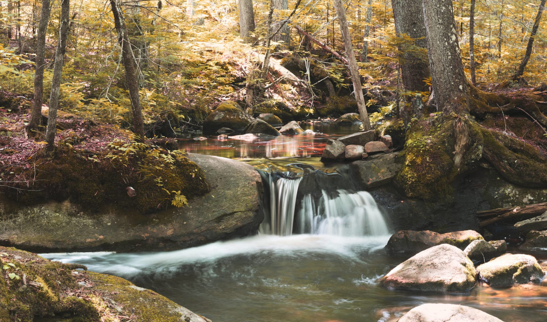 Premium: Ontario & Québec Deluxe ab Montréal: Kanada - La Mauricie Nationalpark Quebec - herbstliche Landschaft