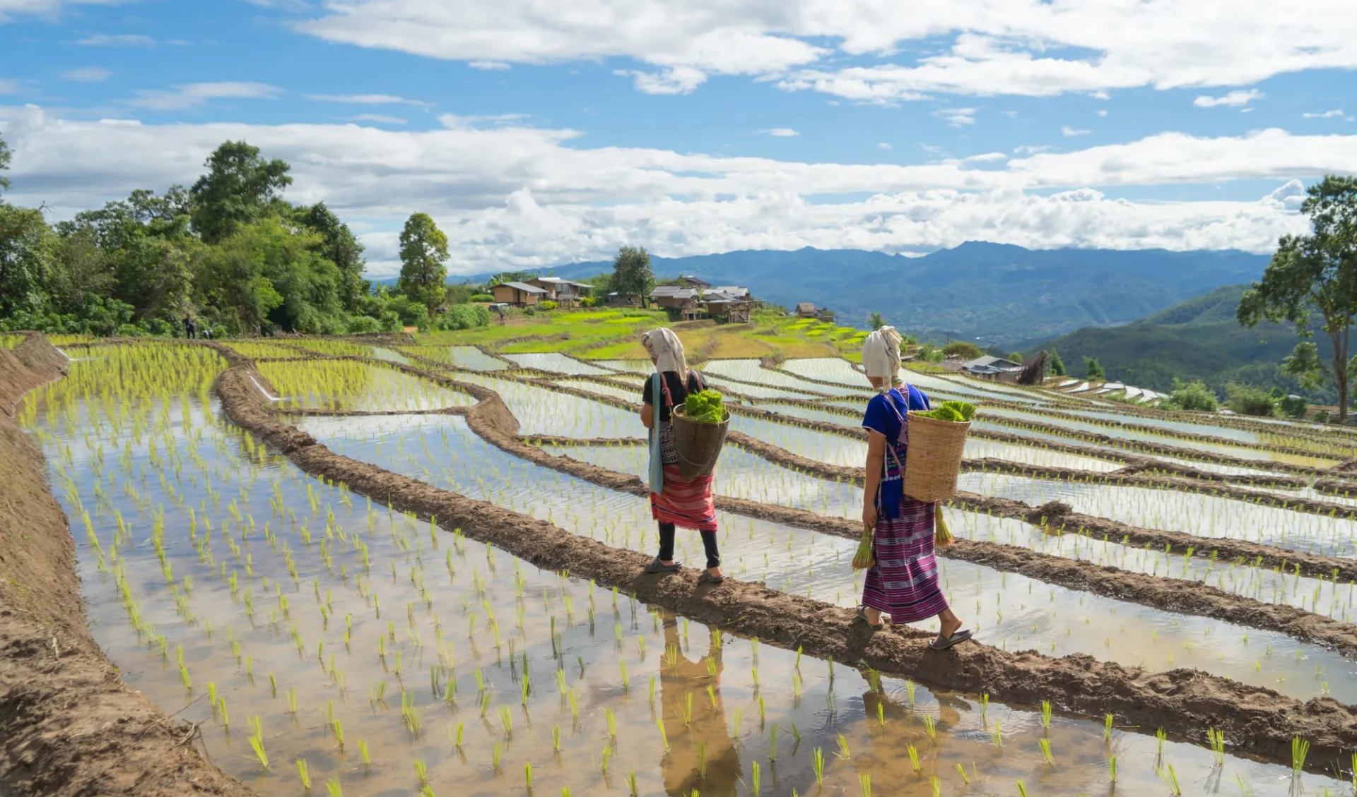 Die verborgene Welt der Bergvölker ab Chiang Mai: Karen Tribe Women