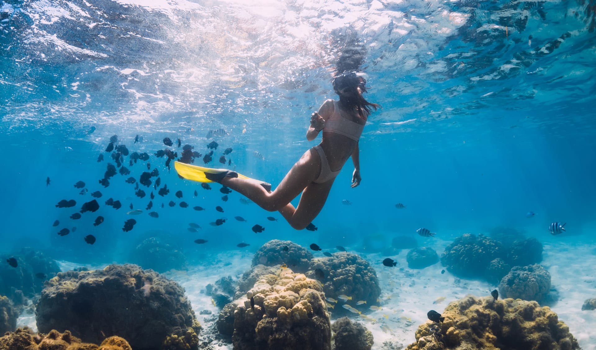 Bonaire, Karibik