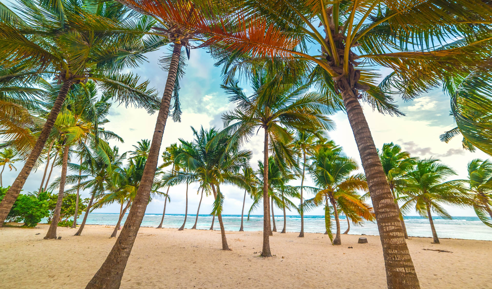 Bois Jolan beach, Guadeloupe