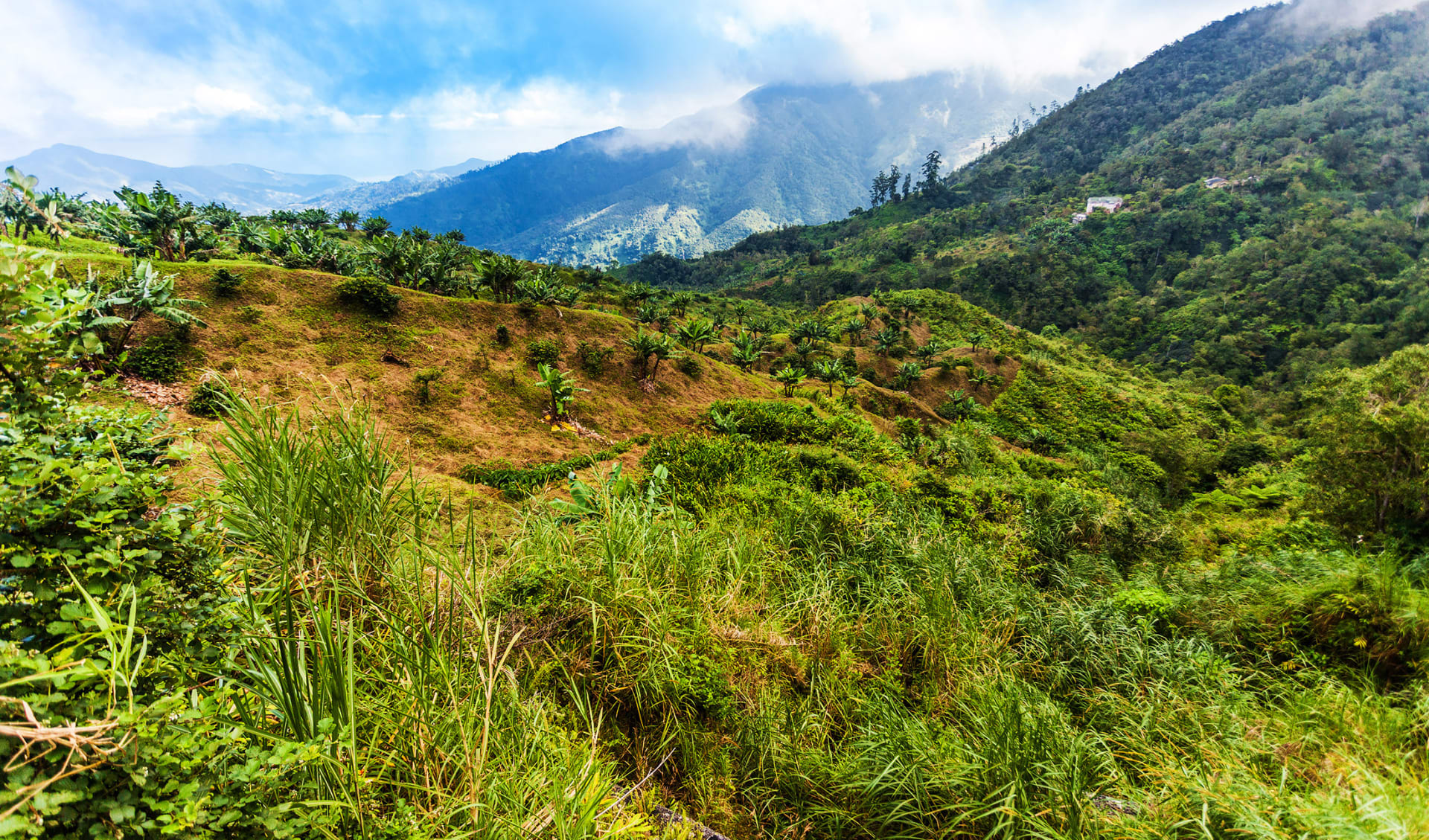 Blue Mountains, Jamaika, Karibik