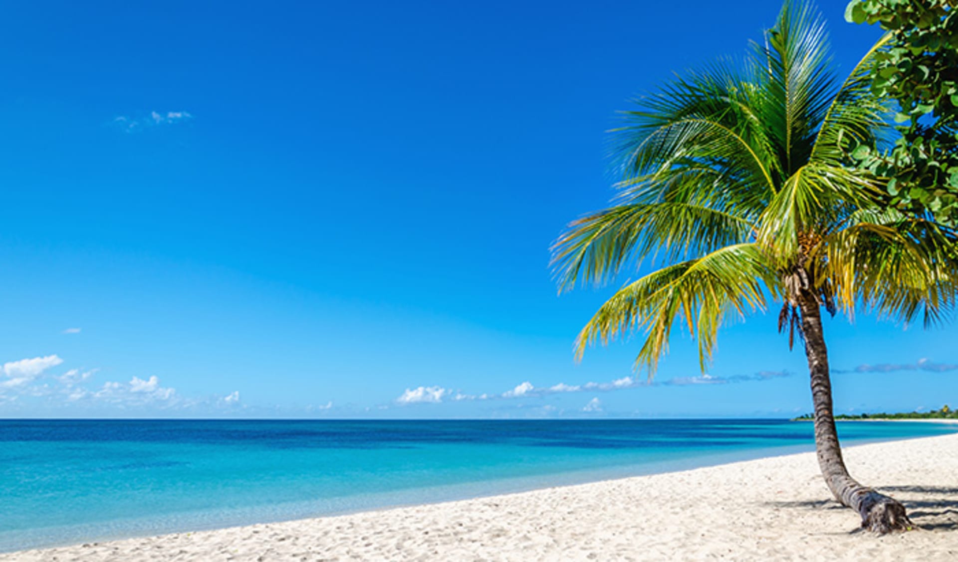 Exotischer Sandstrand mit schönen Palmen, Kuba, Karibische Inseln, Zentralamerika