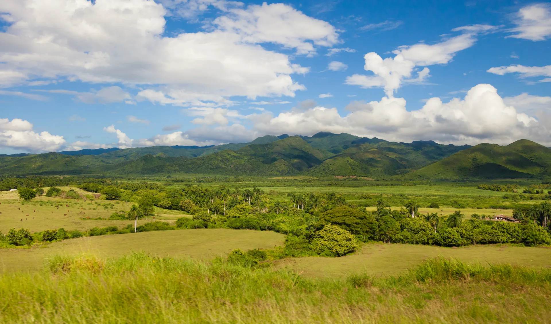 Cuba, Valle de Los Ingenios (Valley of the Sugar Mills)