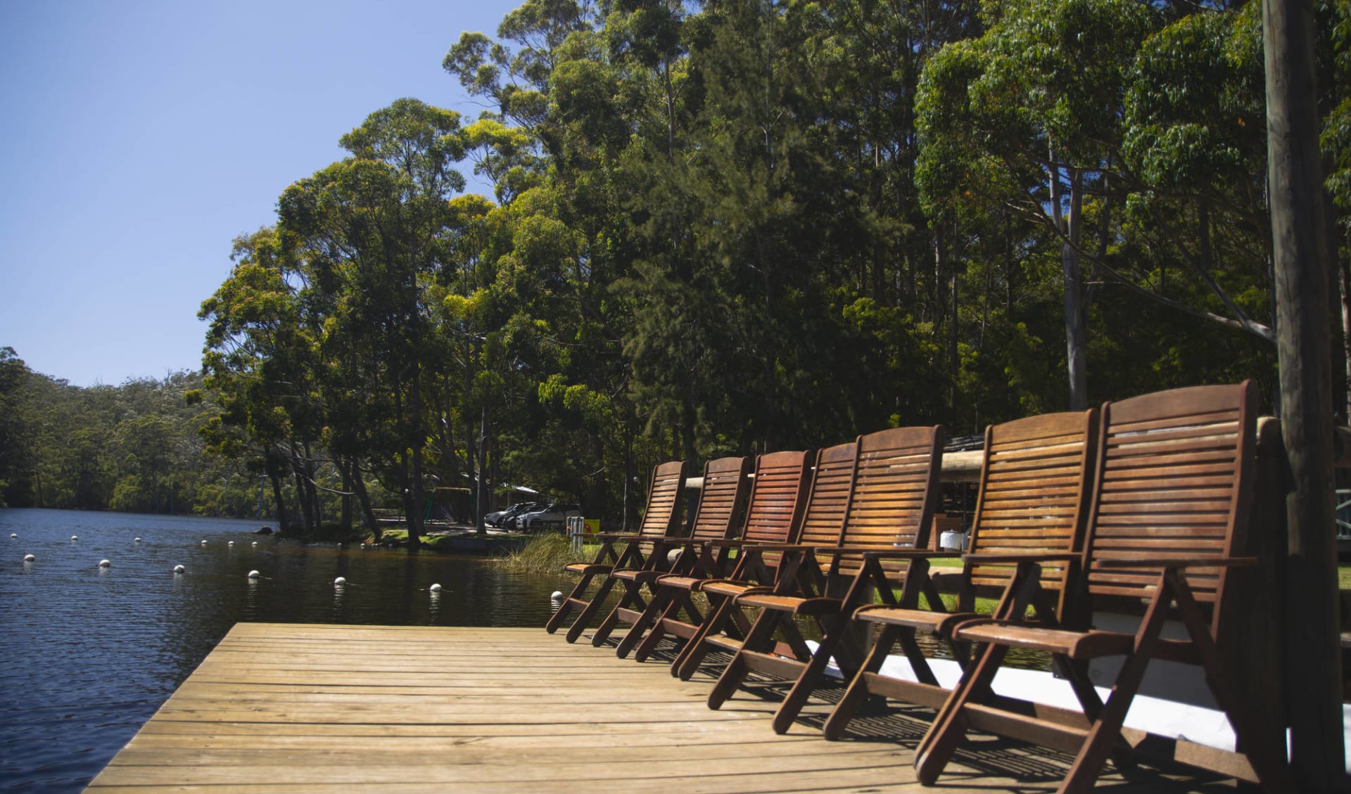 RAC Karri Valley Resort in Pemberton: Karri Valley Resert 1264824643