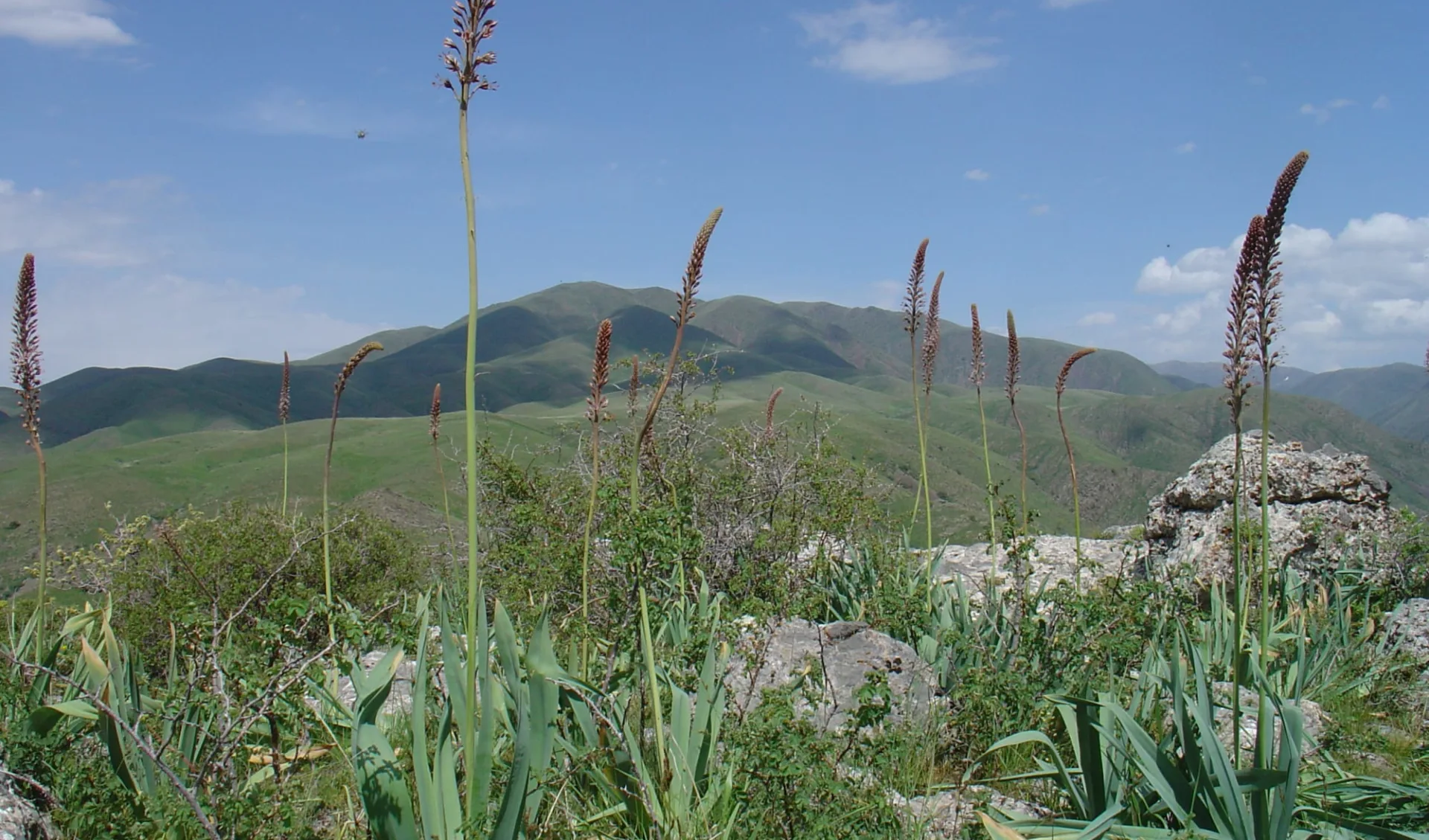 Kasachstan und Kirgistan kompakt ab Almaty: Kasachstan - Zabagly