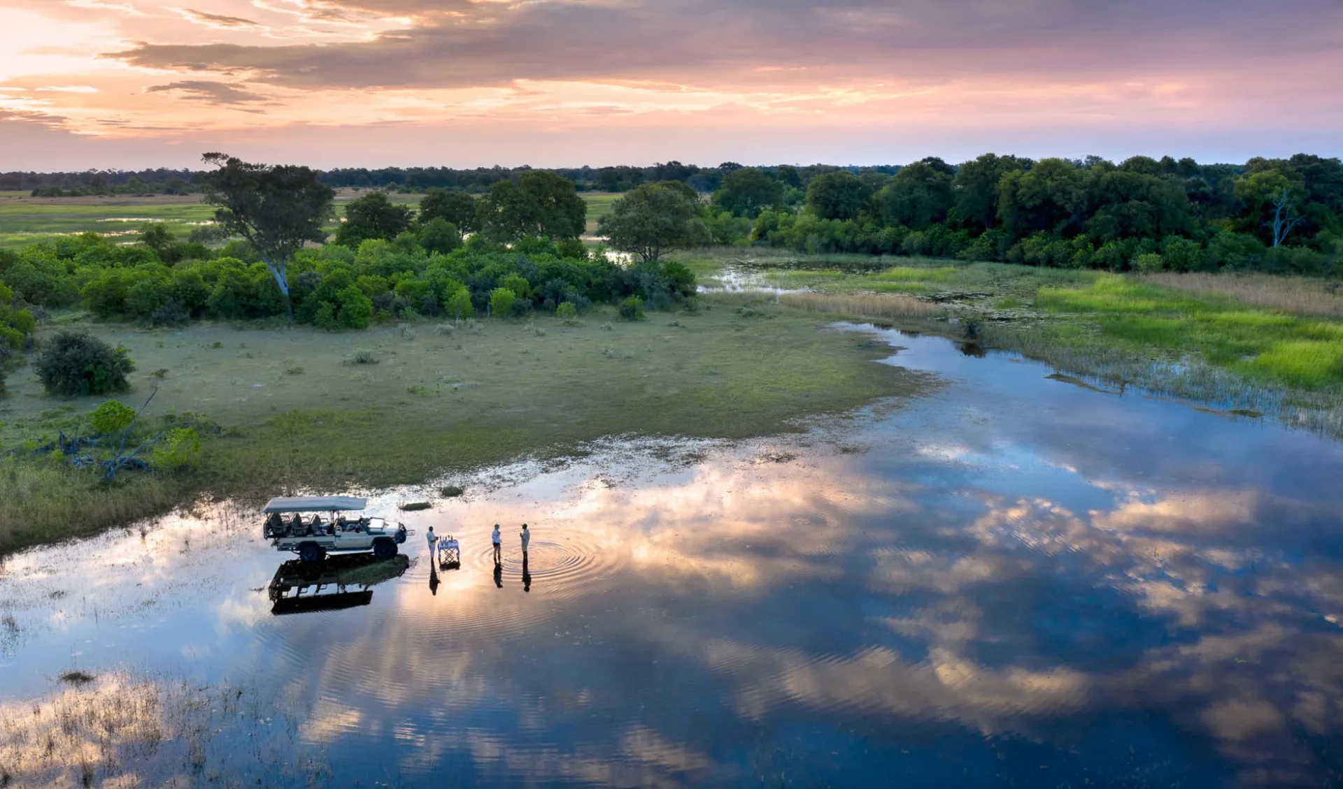 Khwai Leadwood in Moremi Game Reserve: Khwai Leadwood_1