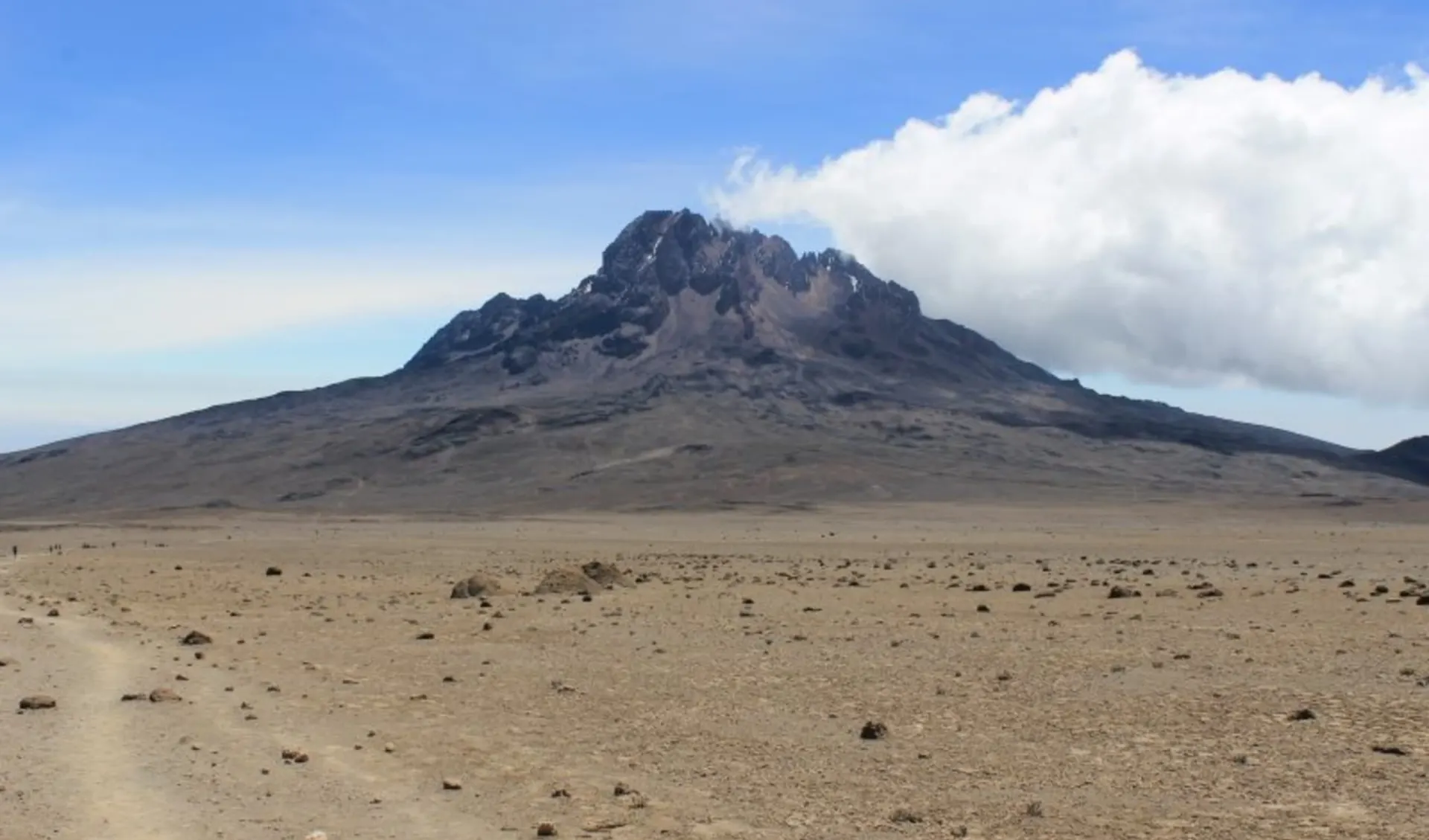 Kilimanjaro Rongai Route ab Arusha: Kili Rongai