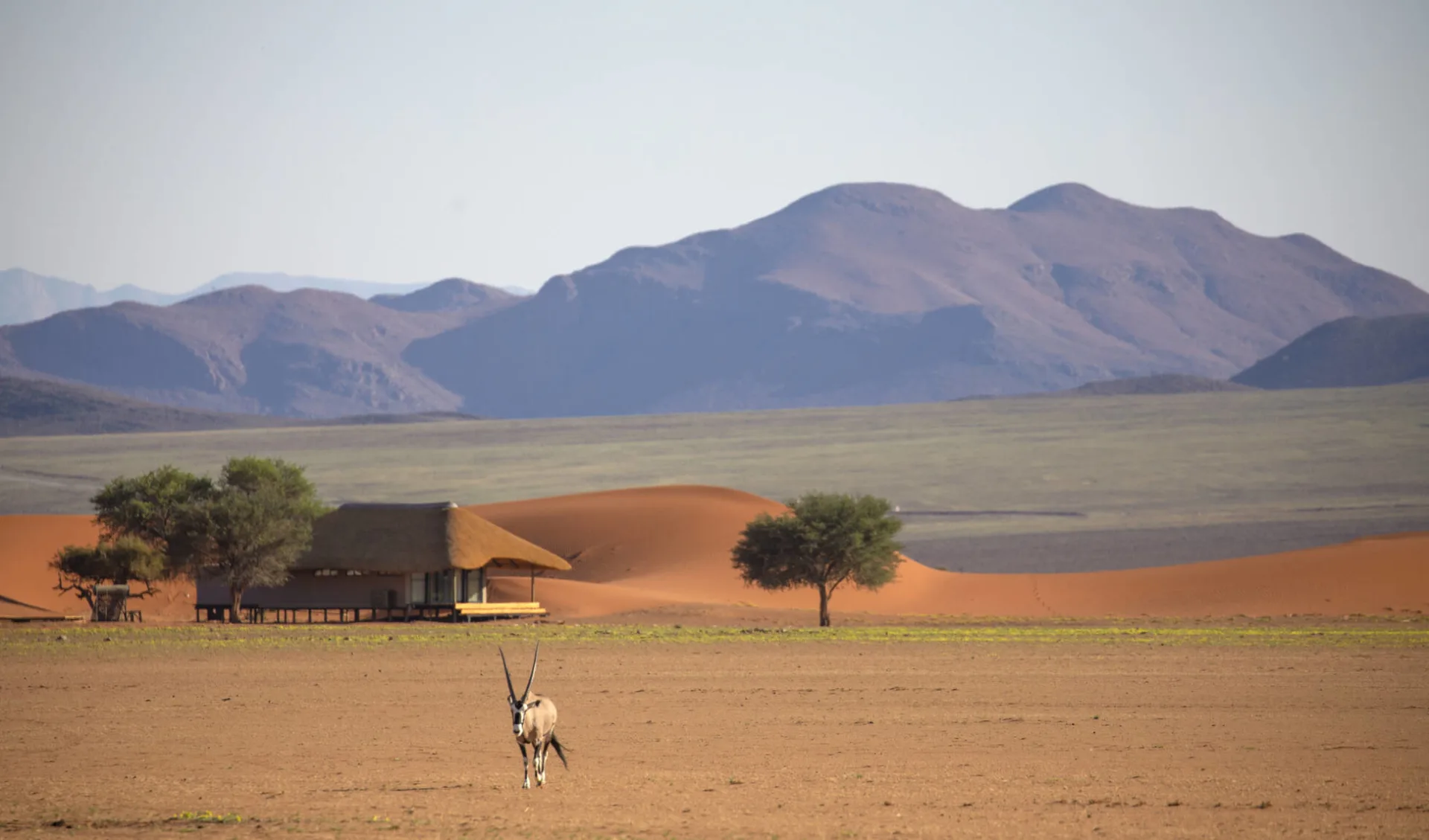 Kwessi Dunes in Sossusvlei: Kwessi Dunes Bild 1