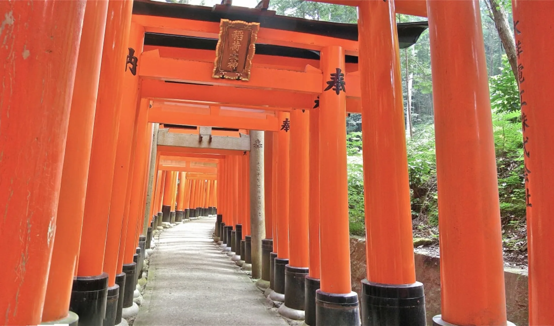 Das Land der aufgehenden Sonne ab Tokio: Kyoto Torii Gates