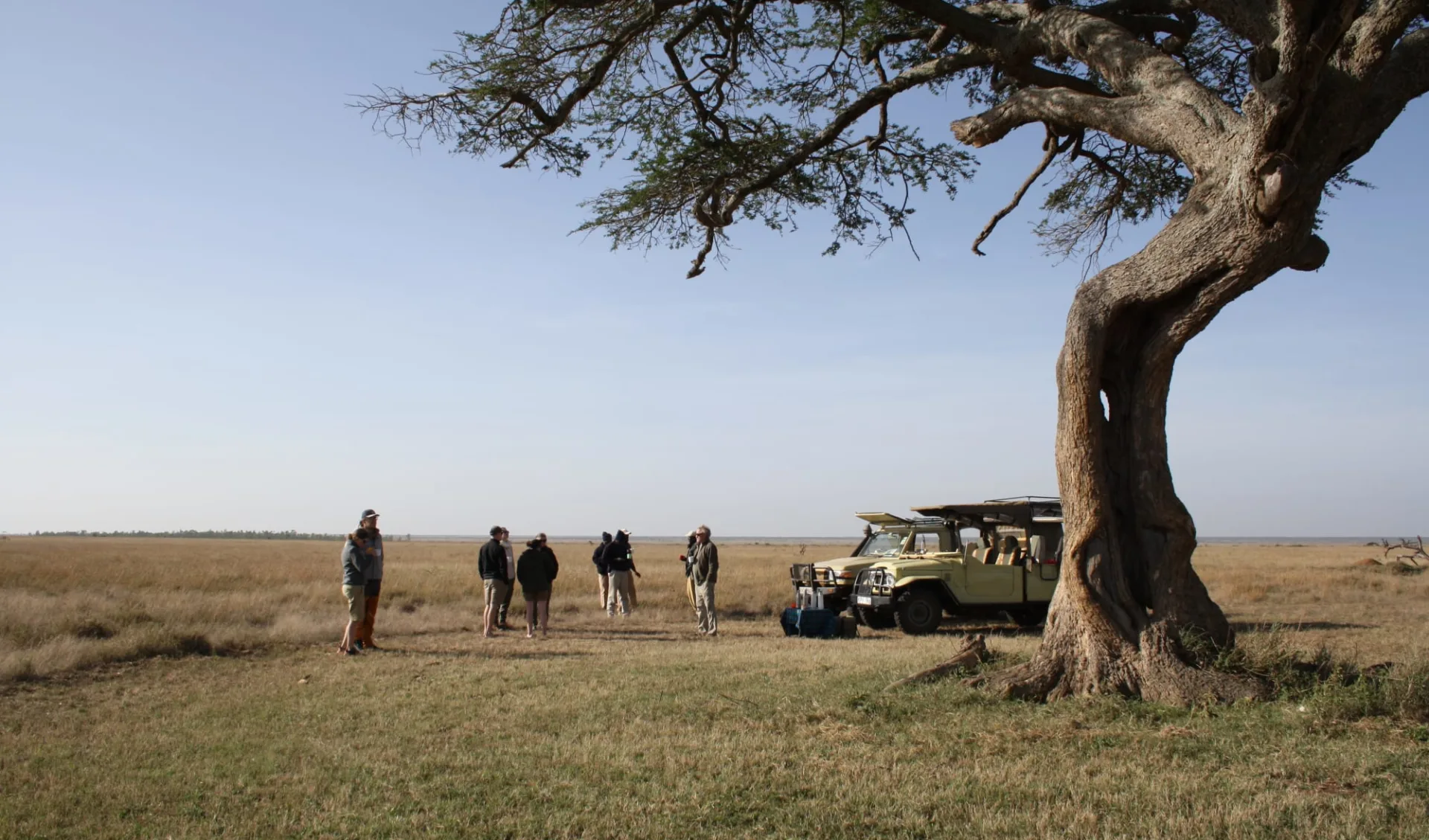 Kenya Sky Safari ab Nairobi: Laikipia