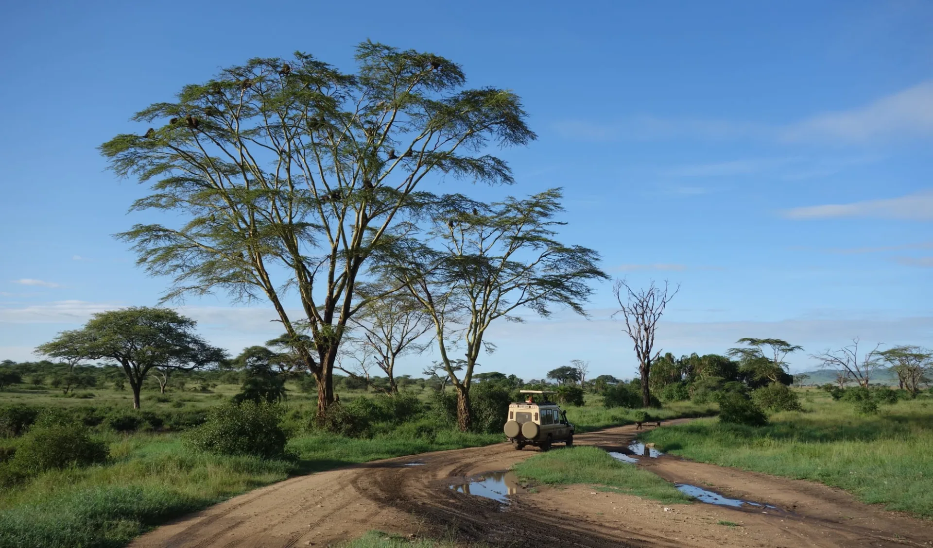 Best of Tanzania Safari ab Arusha: Landscape Tanzania