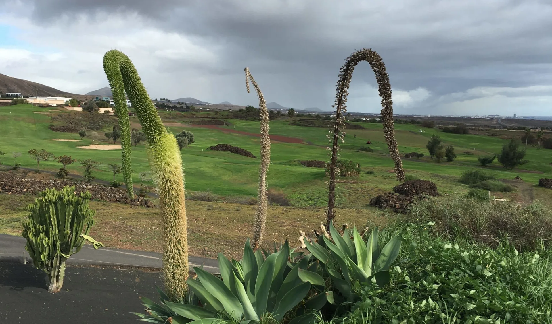 29.12.24 - 05.01.25 Silvester Golfreise Lanzarote: Lanzarote Golf_MN_2