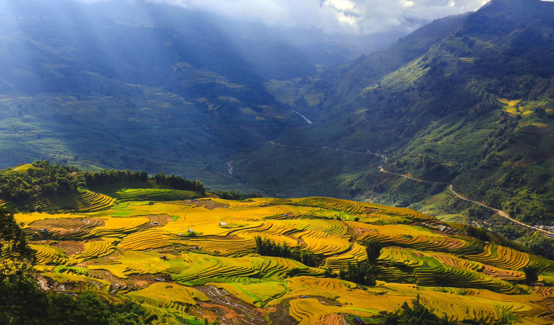 Natur & Kultur rund um Sapa ab Hanoi: Sapa: terraced rice fields and rays at Lao Cai