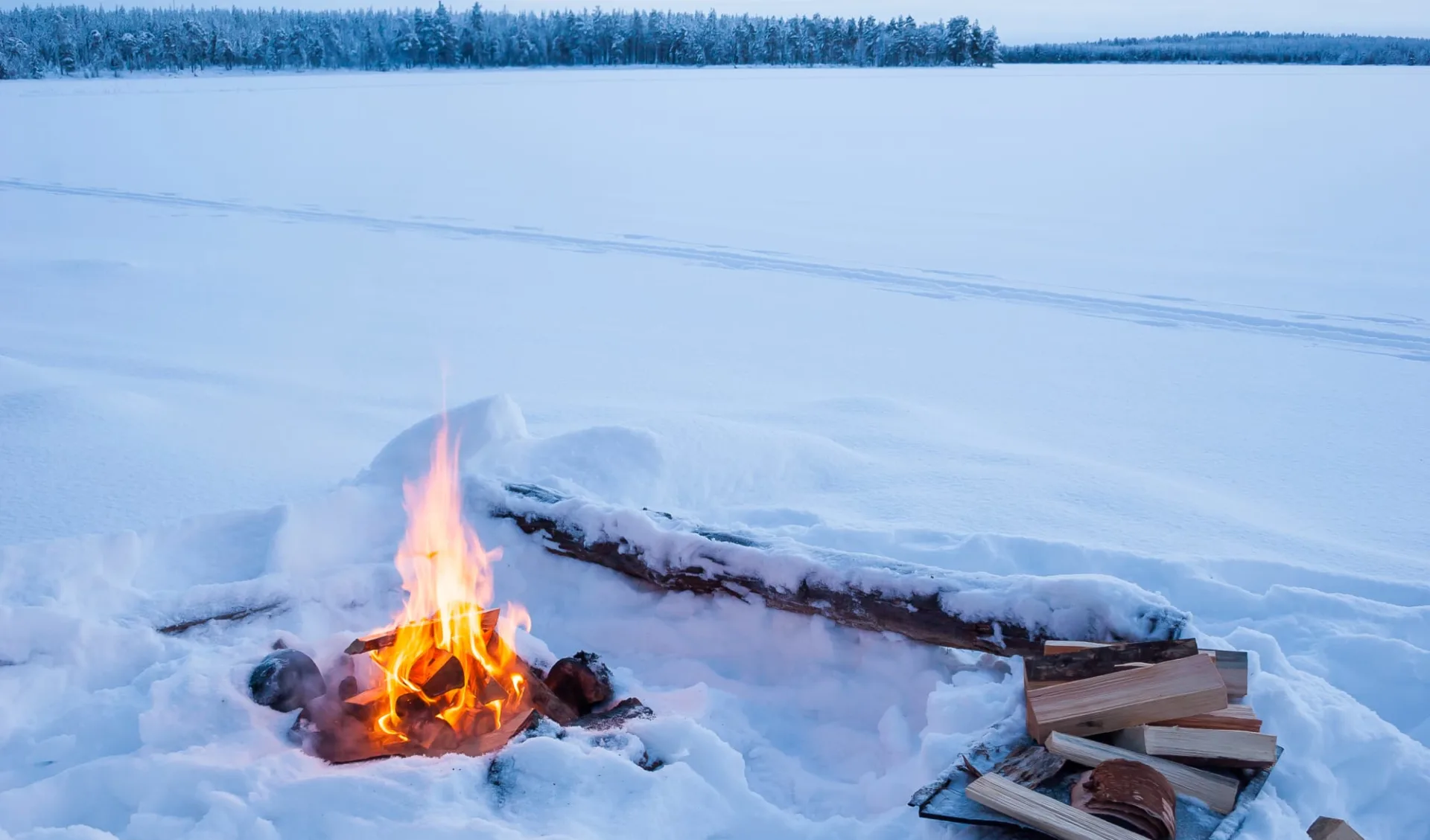 Muonio - Hundeschlittensafari ab Kittilä: Lappland Winter Lagerfeuer