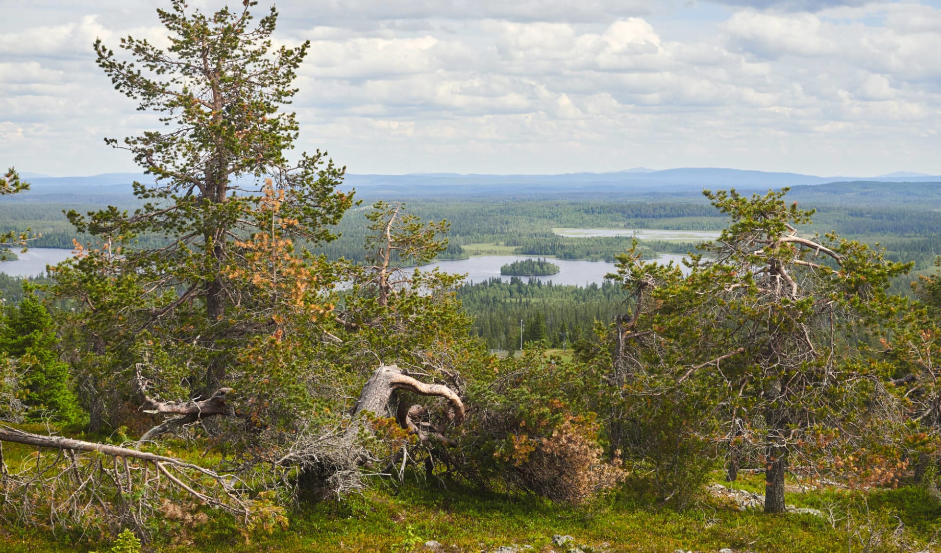 Finnland im Auto - Norwegen mit Hurtigruten ab Helsinki: location: Finnland Sommer, Landschaft um Kuusamo