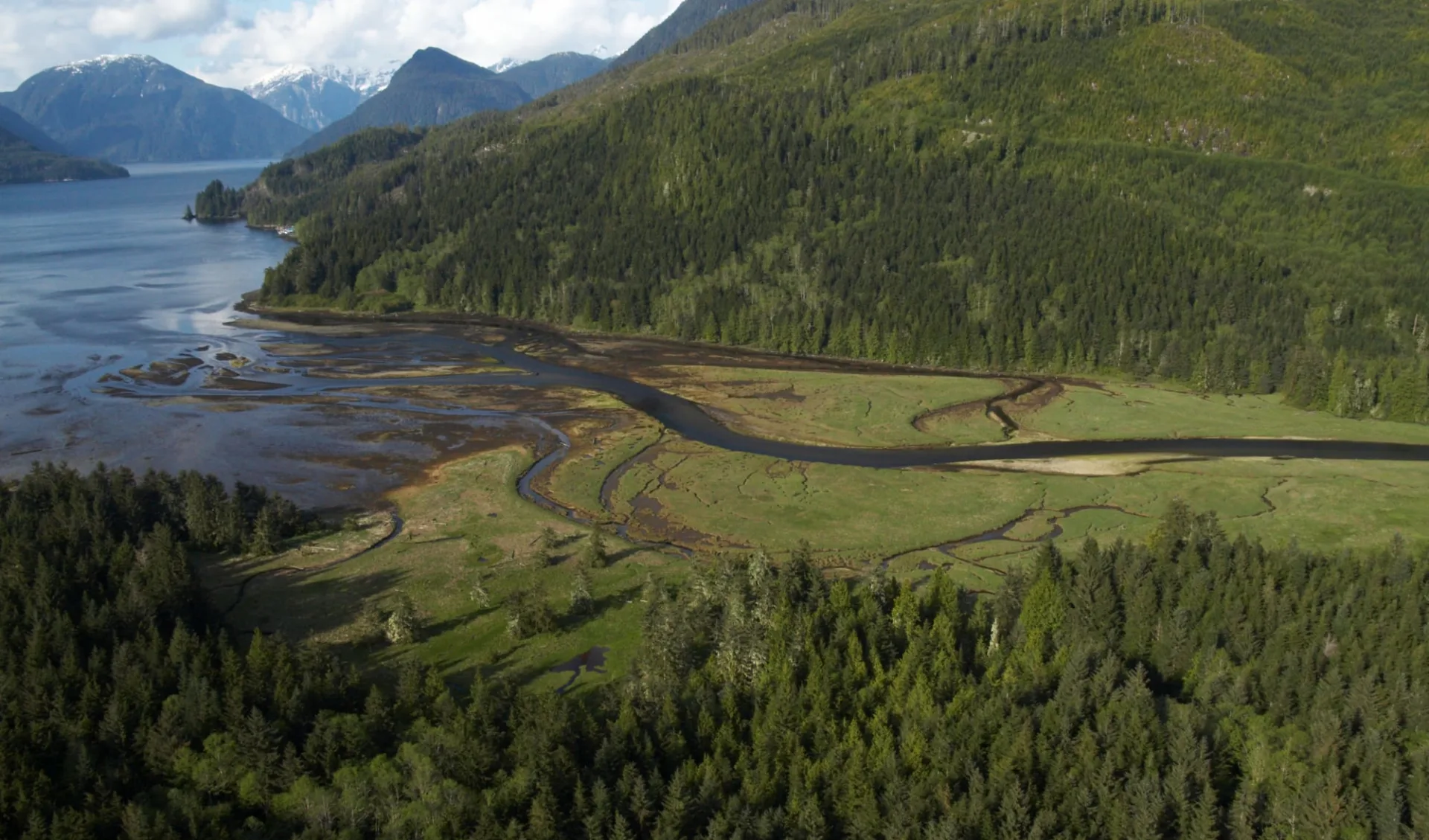 Bärenbeobachtung Knight Inlet Lodge 3 Tage ab Campbell River: location: Knight Inlet Lodge - Landschaft