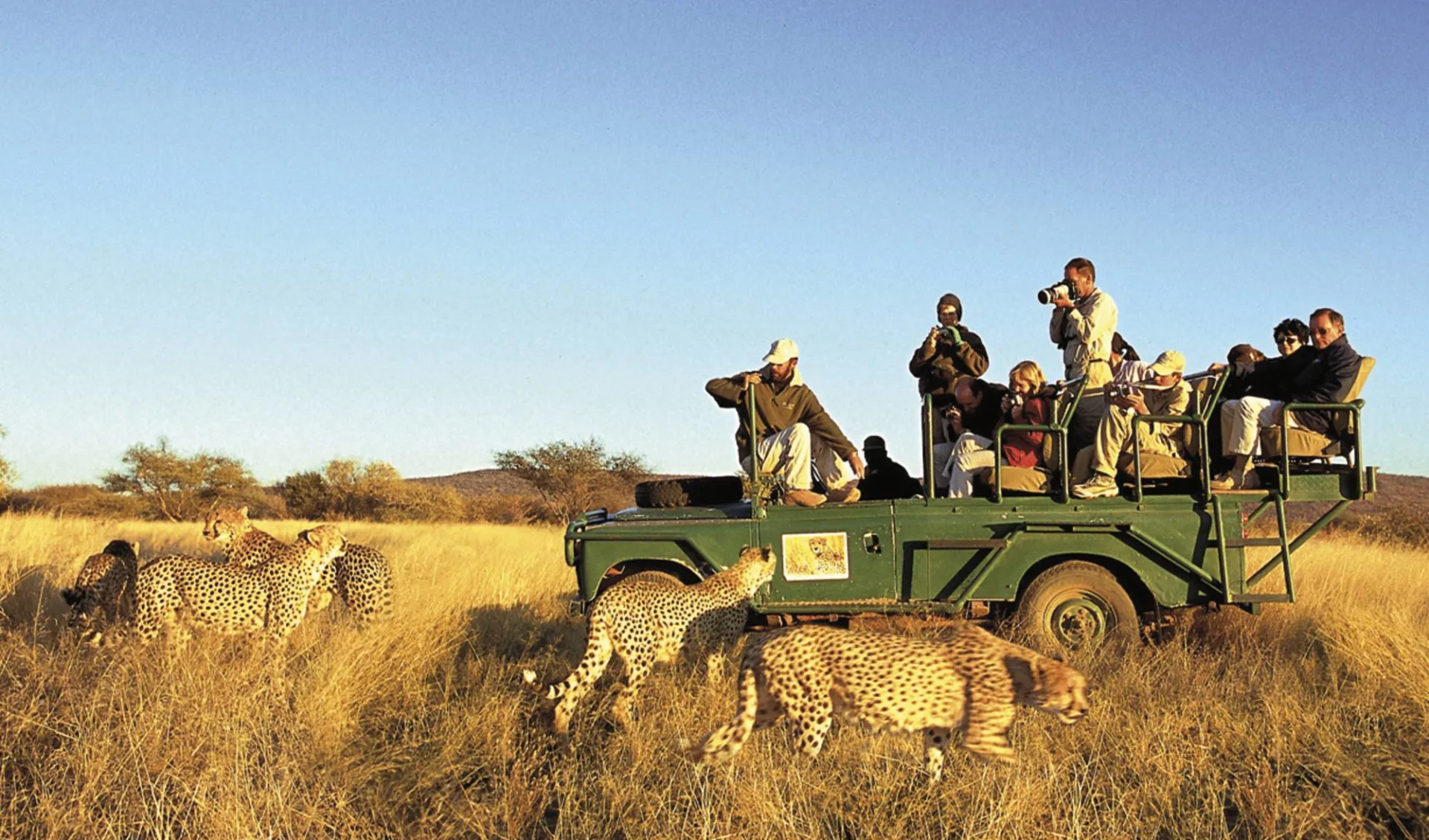 Die Juwelen Namibias -  Mietwagenrundreise ab Windhoek Stadt: Okonjima Game Reserve