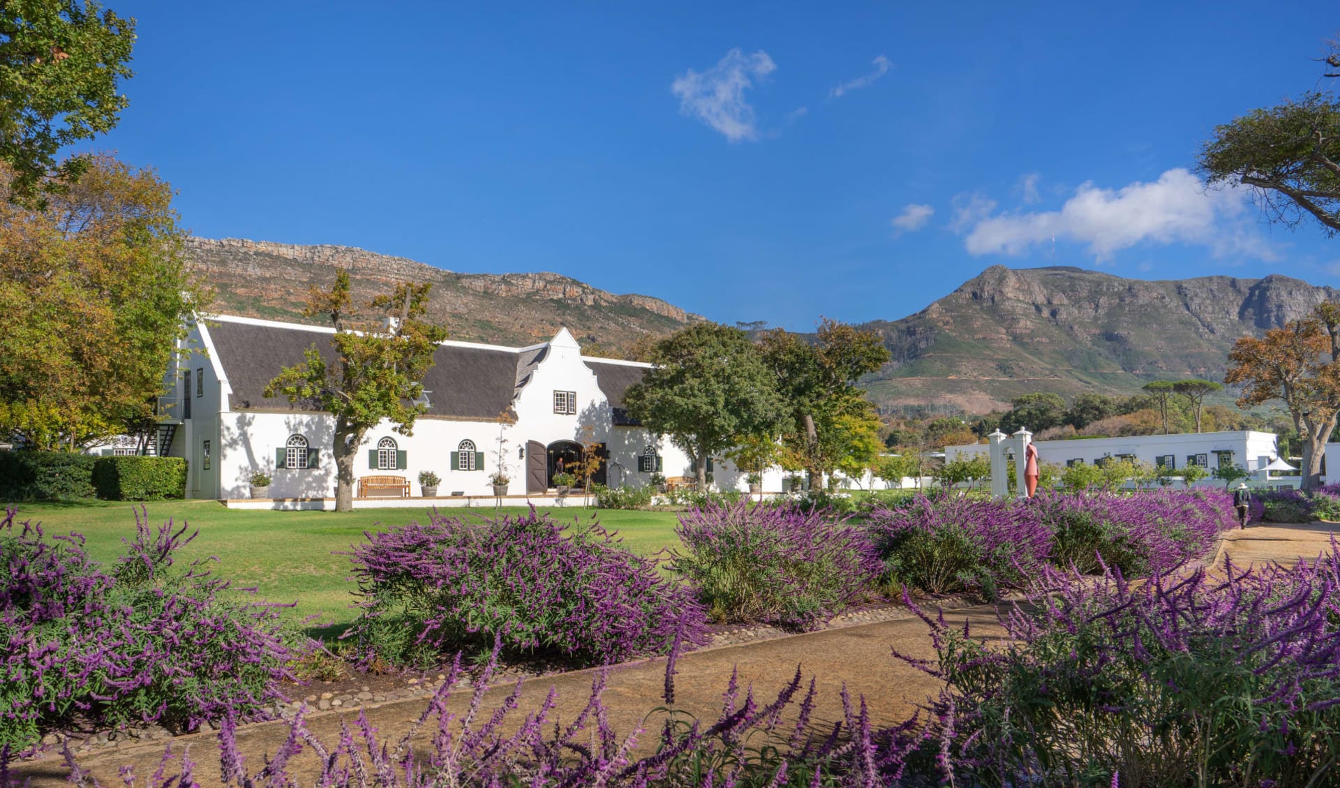 Steenberg Hotel & Spa in Constantia: Reception Building & Grounds - HERO IMAGE (1) HR