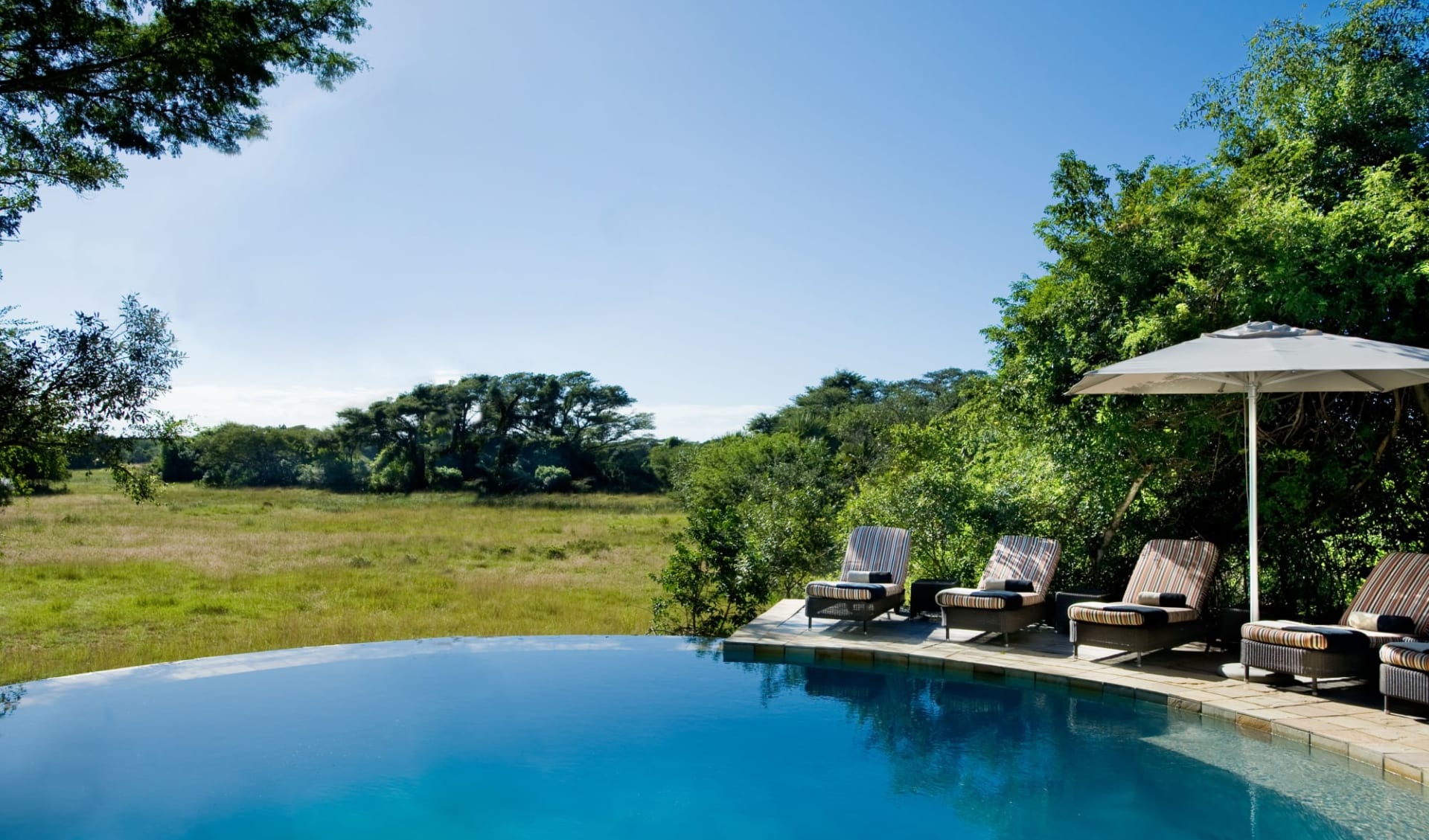 Phinda Forest Lodge: Lodge-swimming-pool-at-Phinda-Forest