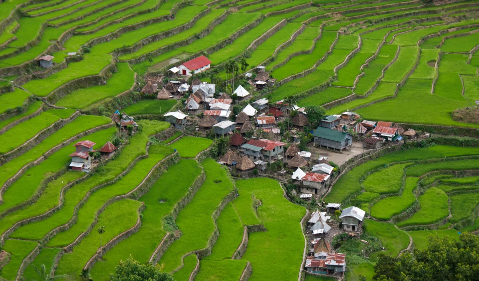 Nord-Luzon Rundreise ab Manila: Luzon Banaue Batad Rice terraces