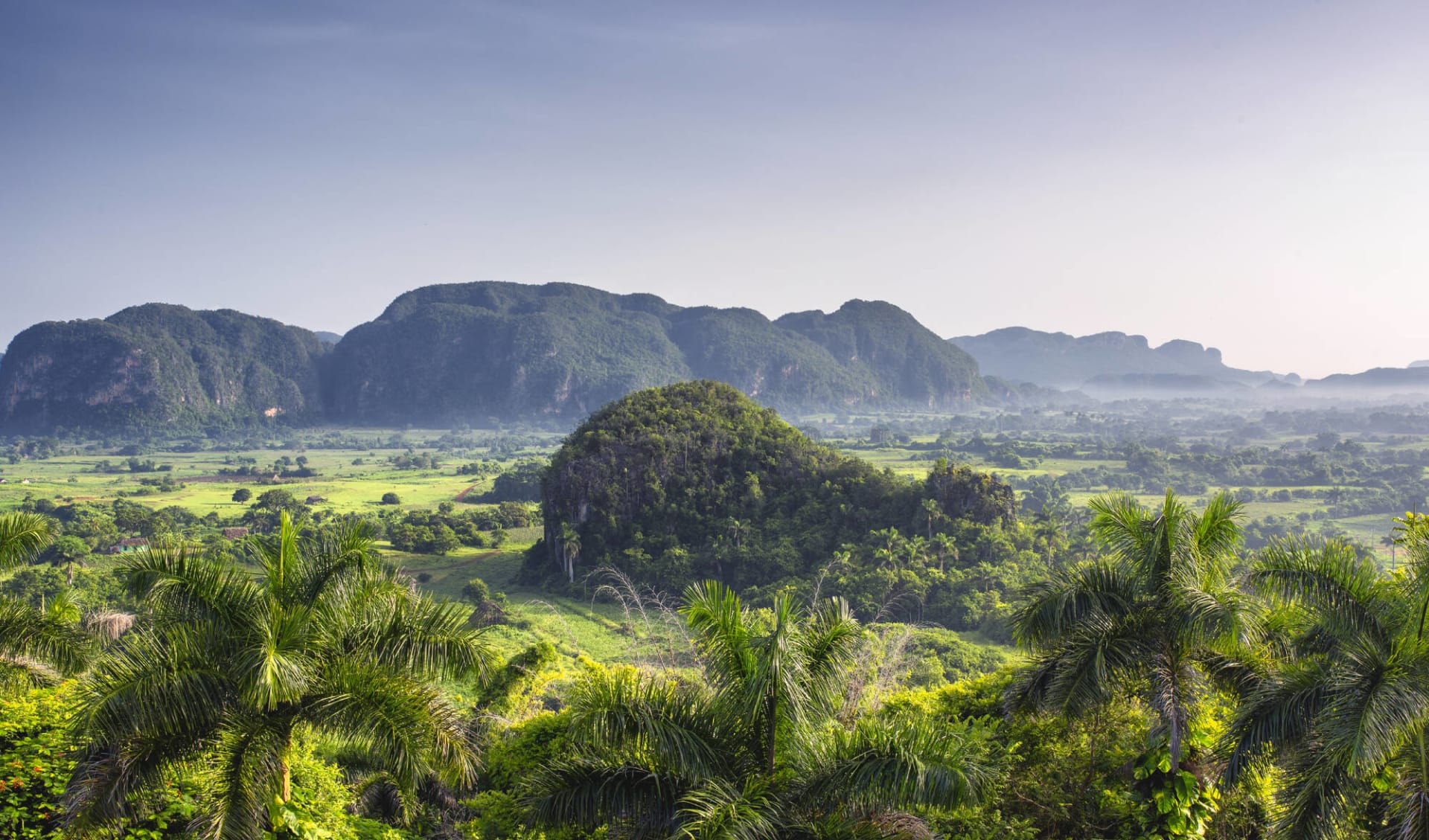 A lo Cubano ab Havanna: Natur Ausflug Vinalestal - Vinalestal Landschaft - c