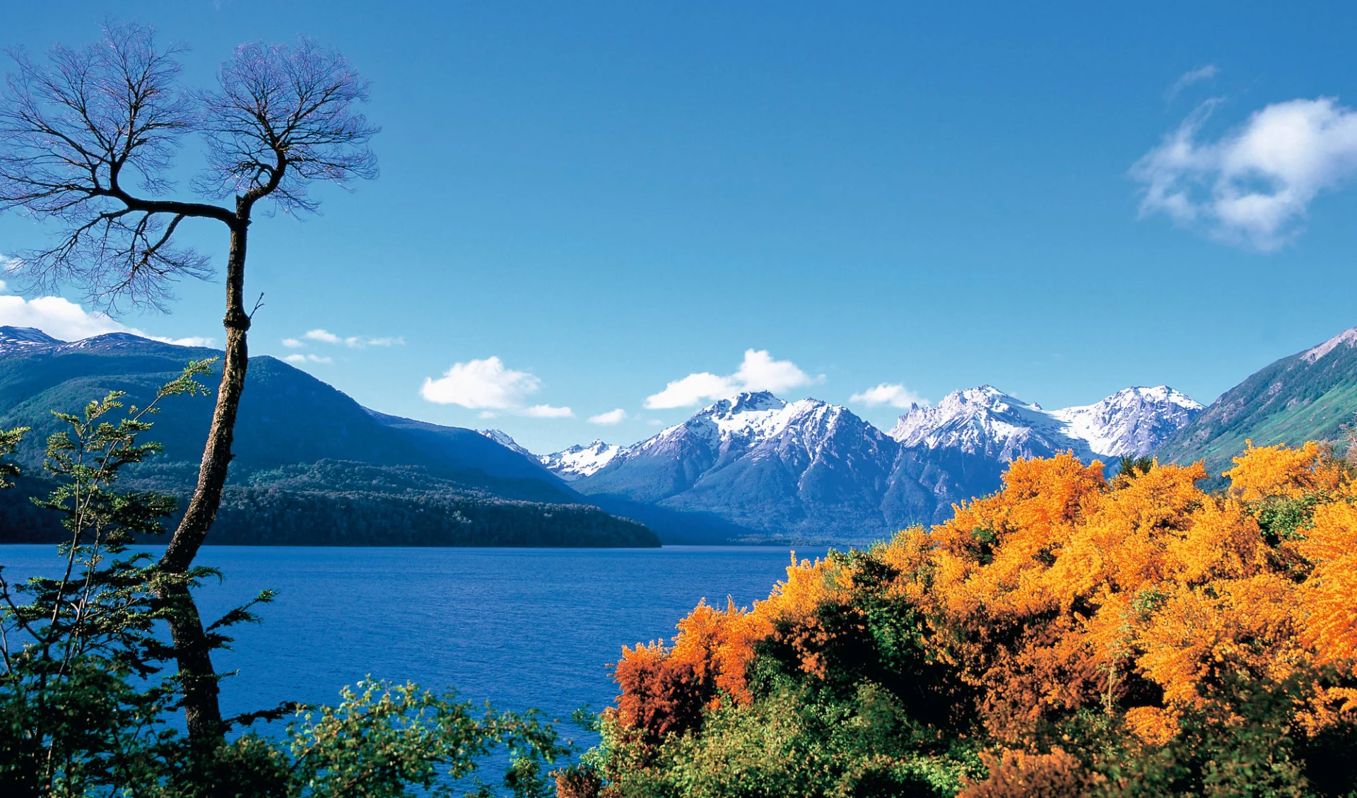 Kurztour Bariloche: Natur Bariloche - Argentinien mit See und Pampa C