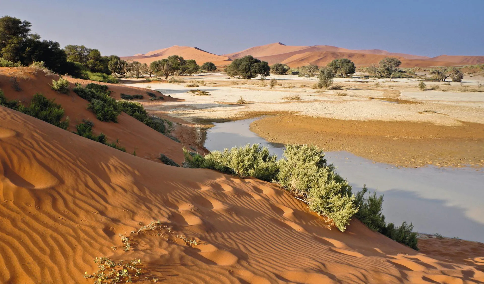 Premium: Namibia Deluxe ab Windhoek Stadt: Sossusvlei Dünen