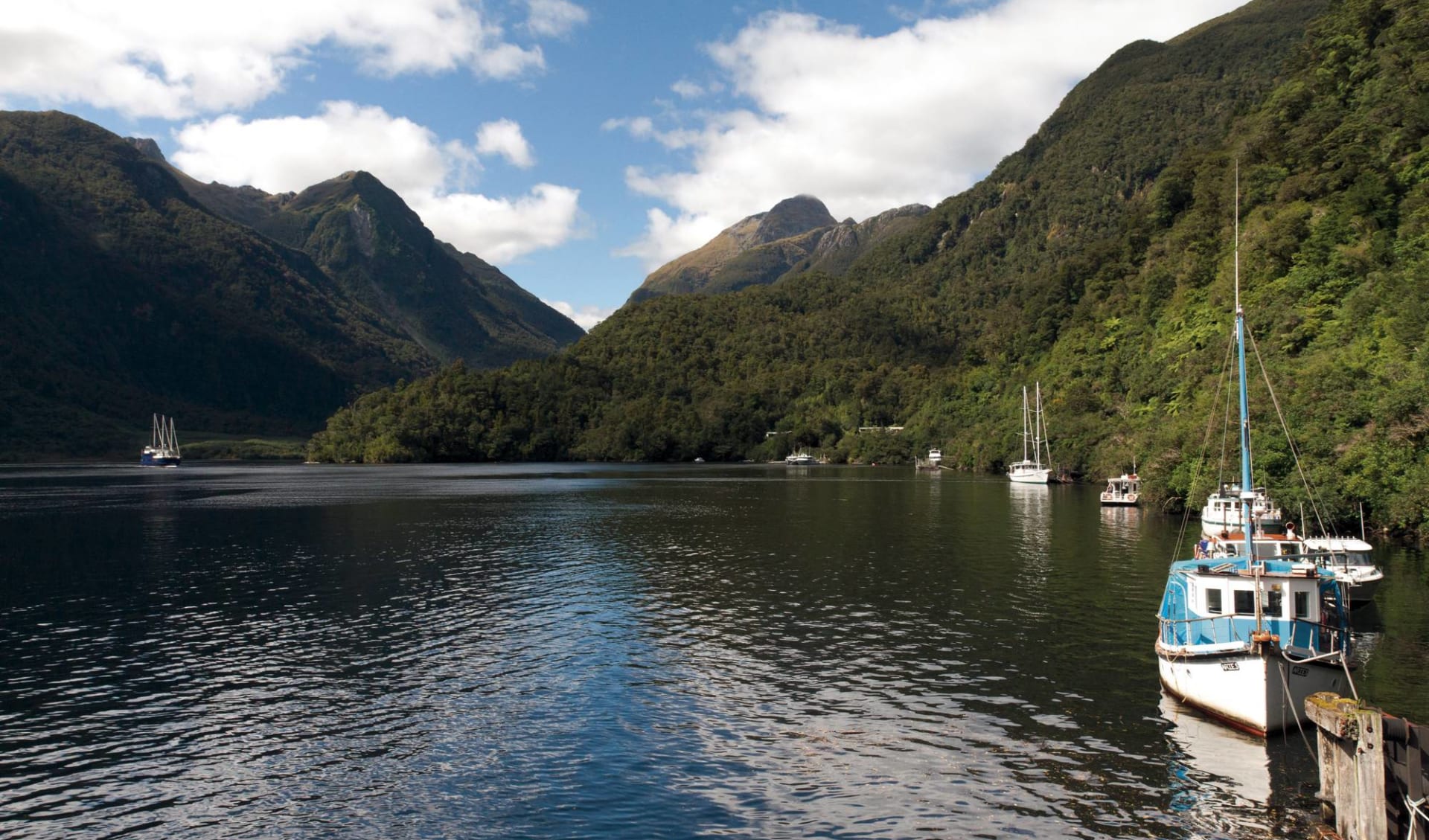 Doubtful Sound Overnight Cruise ab Queenstown: Neuseeland - Südinsel - Doubtful Sound