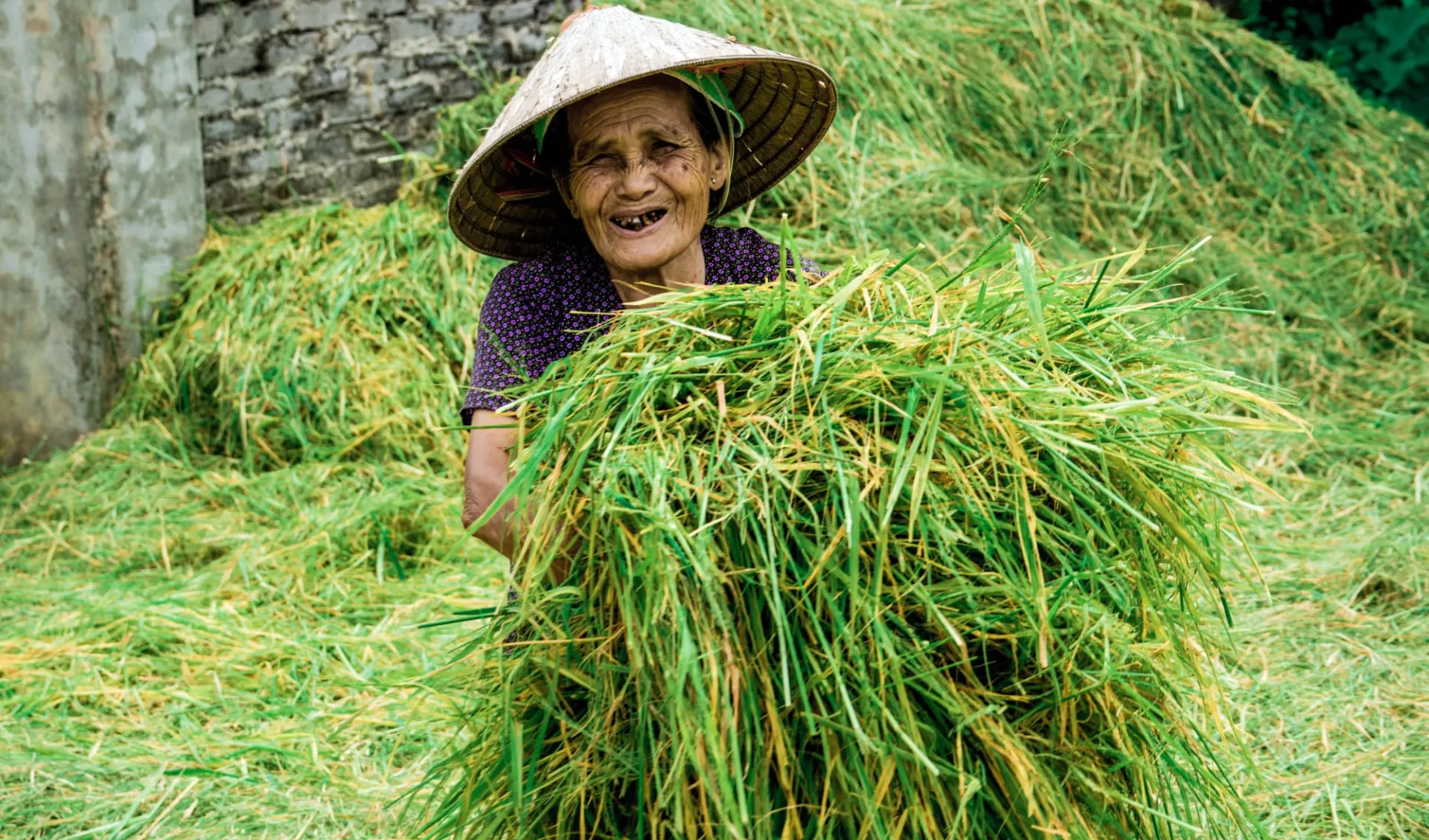 Impressionen Nordvietnams ab Hanoi: Ninh Binh