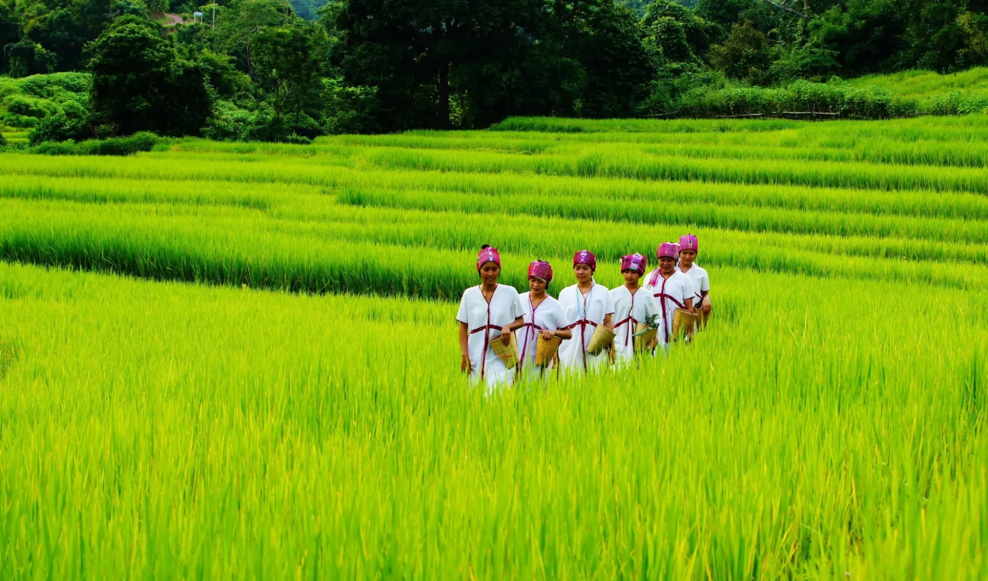 Die verborgene Welt der Bergvölker ab Chiang Mai: Northern Thailand: Hidden world of Hilltribes