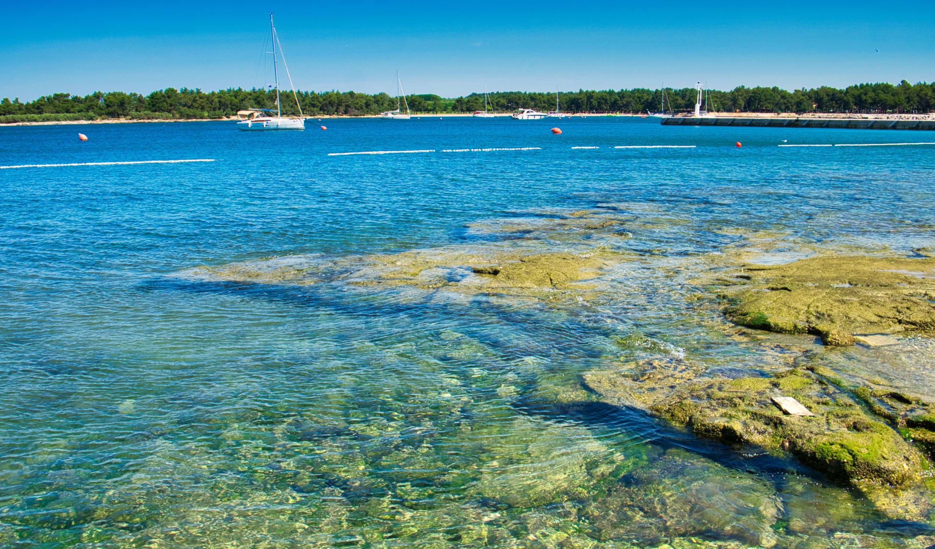 Badeferien im Aminess Maestral Hotel ab Umag: Novigrad_Meer_