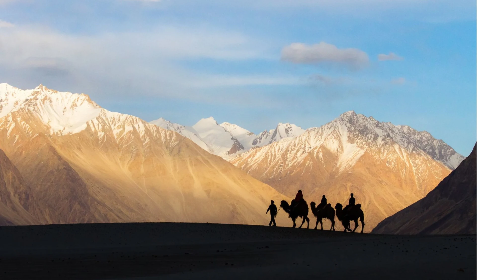 Die spektakuläre Bergwelt von Ladakh ab Leh: Nubra Valley Camel ride