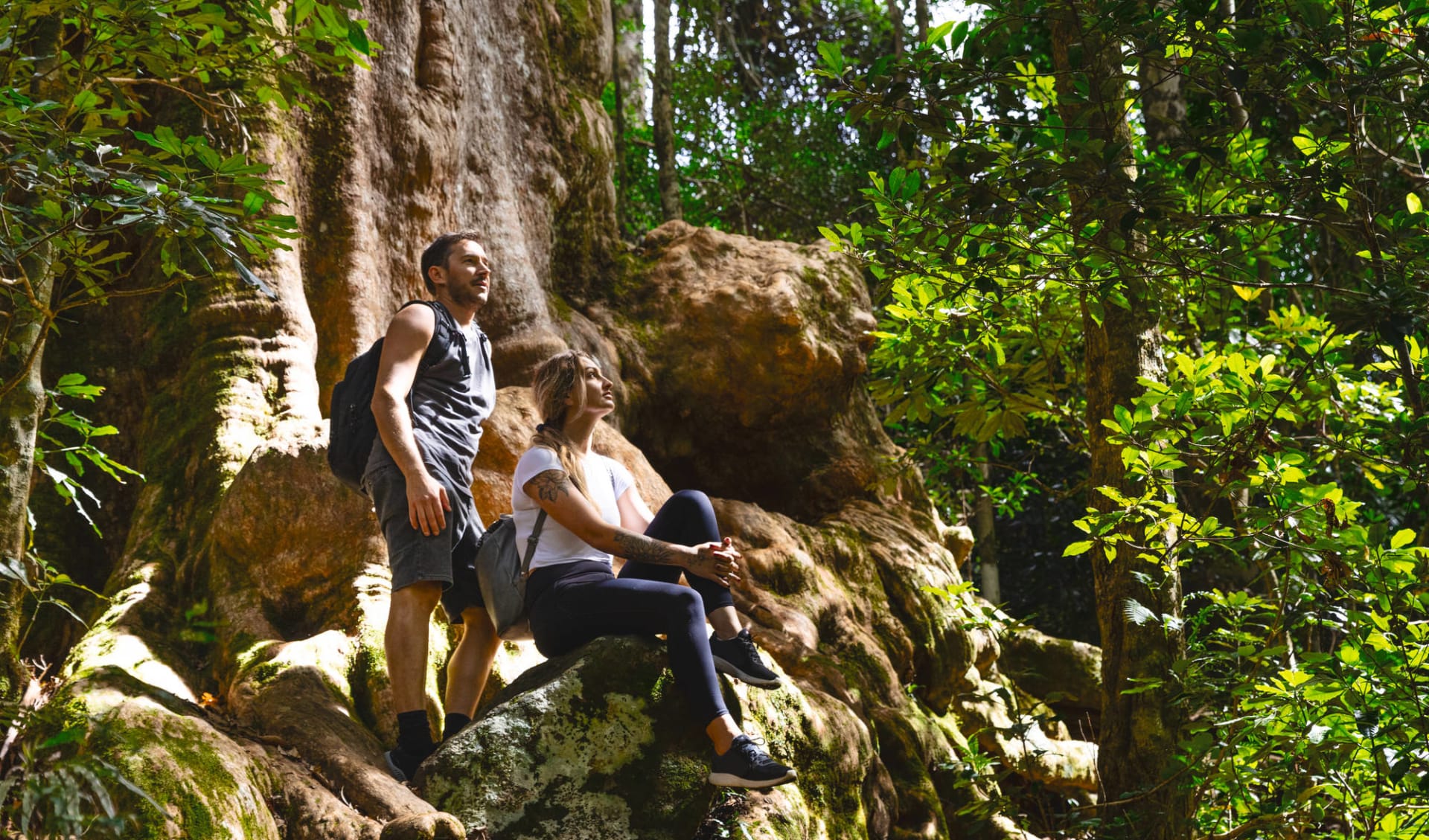 O Reilly S Rainforest Retreat In Lamington National Park Knecht Reisen O Reilly S Rainforest Retreat In Lamington National Park Knecht Reisen