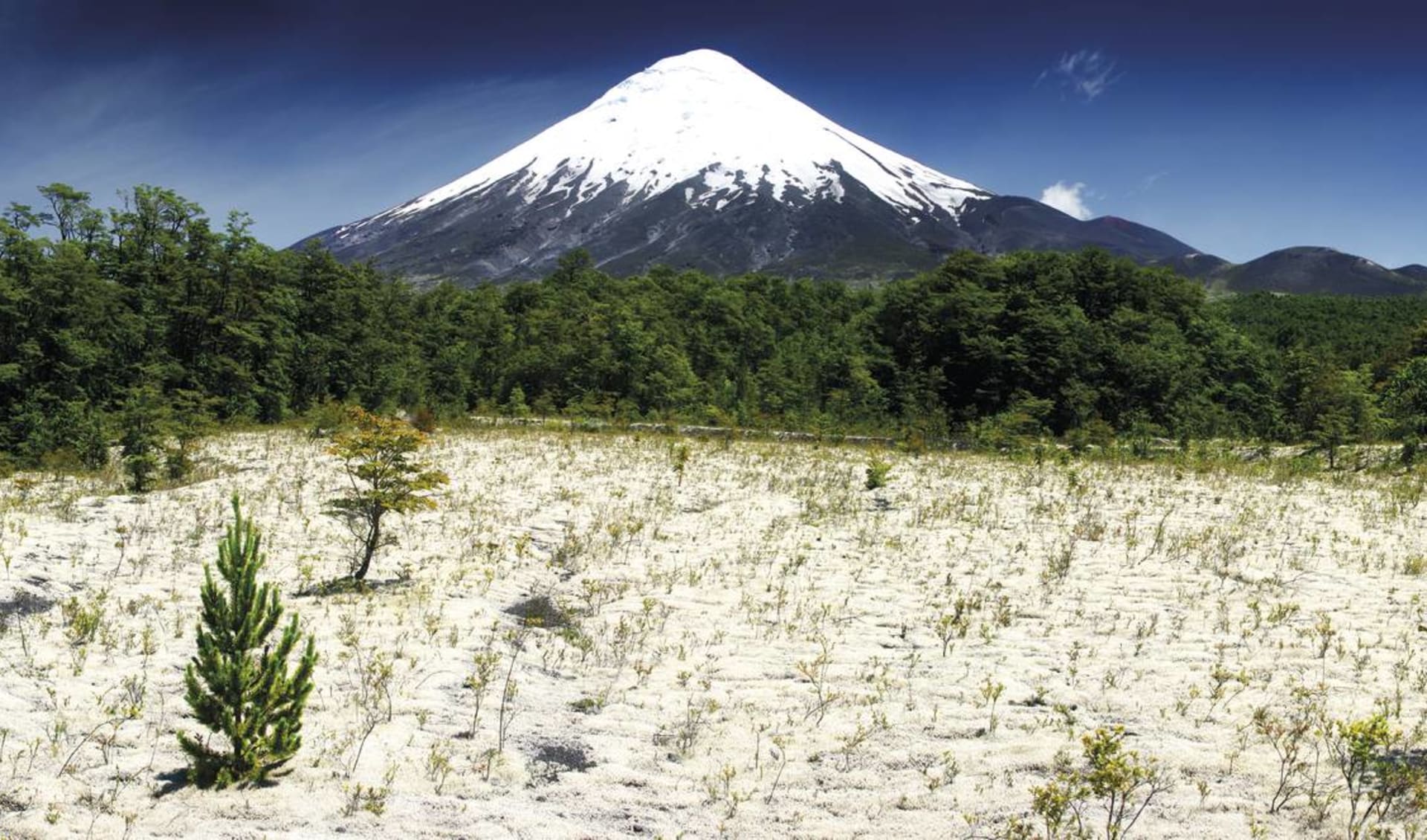 Privatreise Seengebiet ab Puerto Montt: Osorno Vulkan