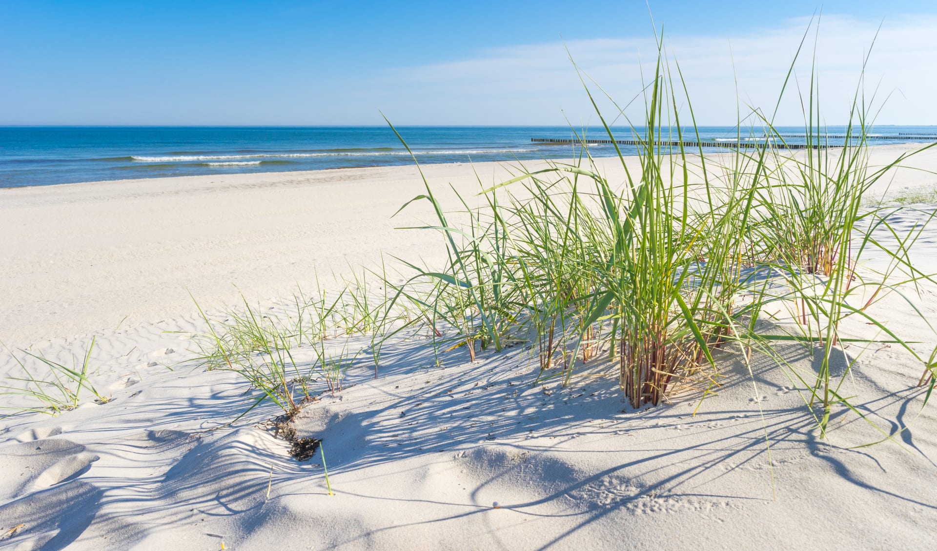 Badeferien im Strandhotel Zingst ab Rostock: Ostsee_Strand_Dünen_