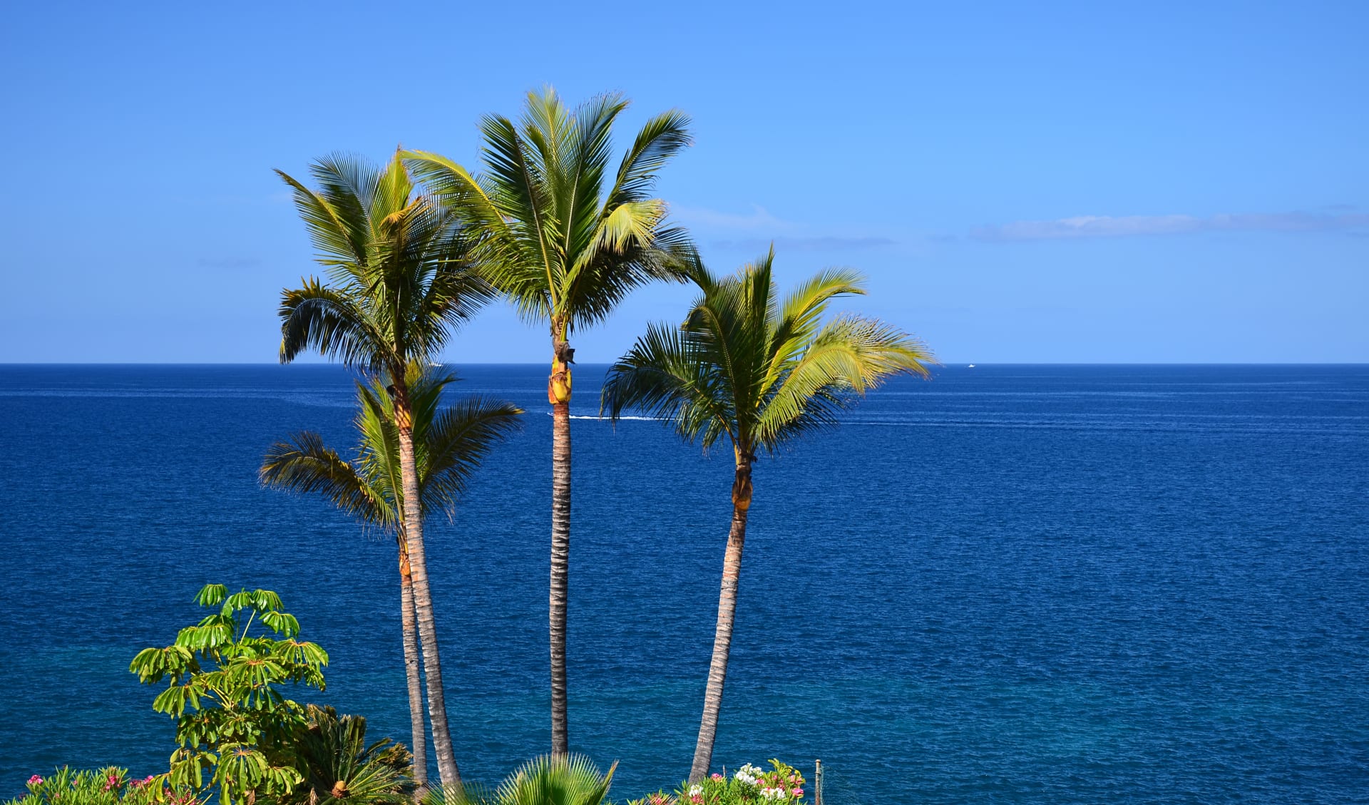 Badeferien im H10 Gran Tinerfe ab Teneriffa: Palmen Meer Costa Adeje Teneriffa