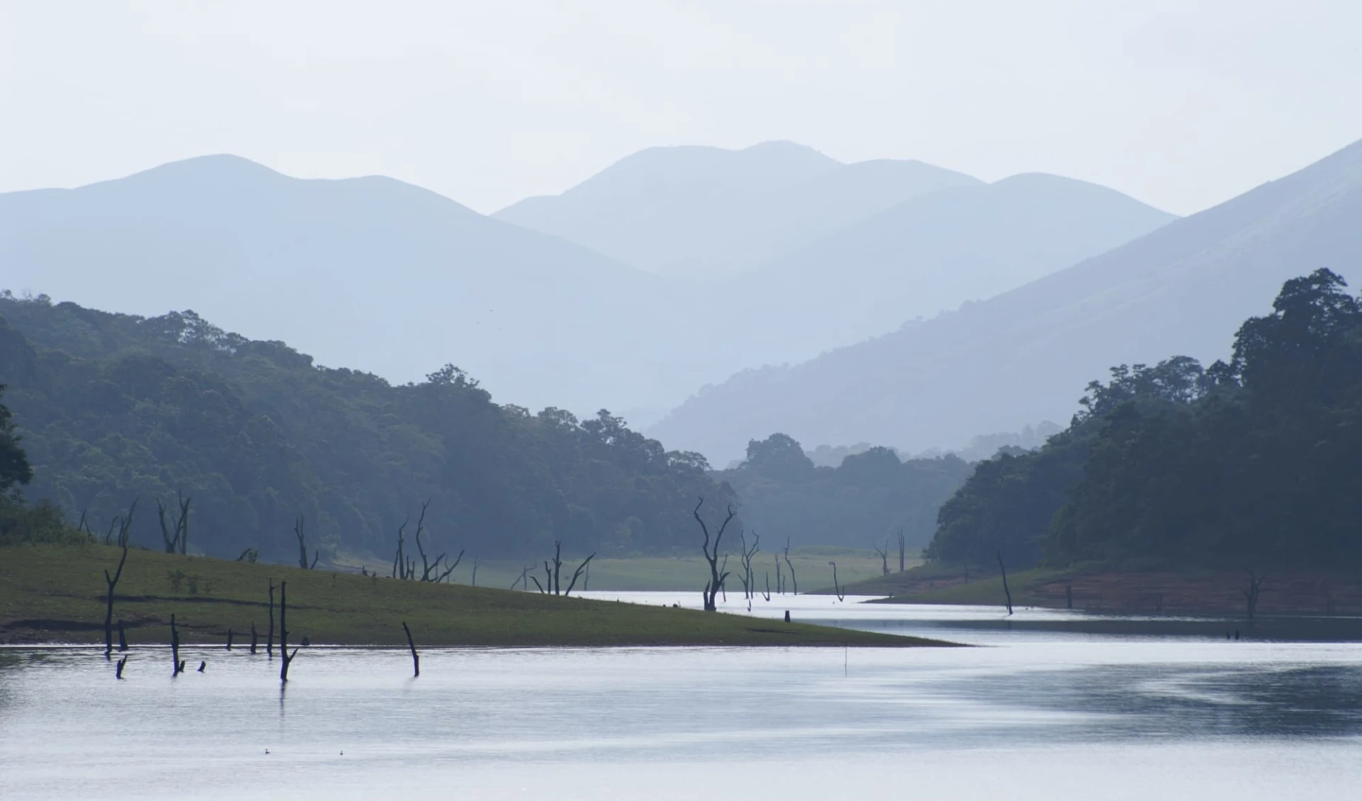 Naturschönheiten Keralas ab Kochi: Periyar: Wildlife Sanctuary