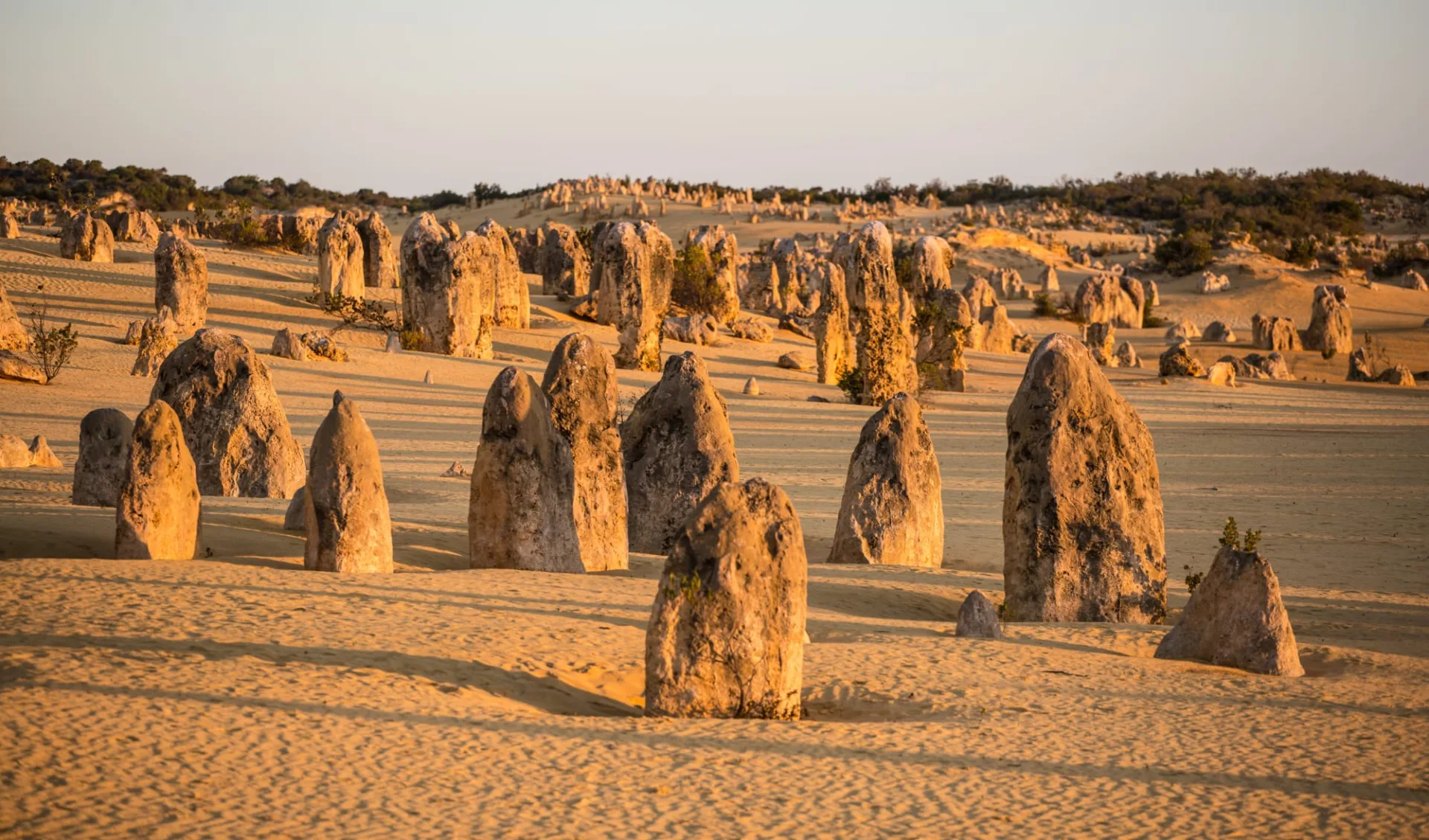 Dolphin Coast Explorer ab Perth: Pinnacles_Desert_Nambung_NP_Western_Australia