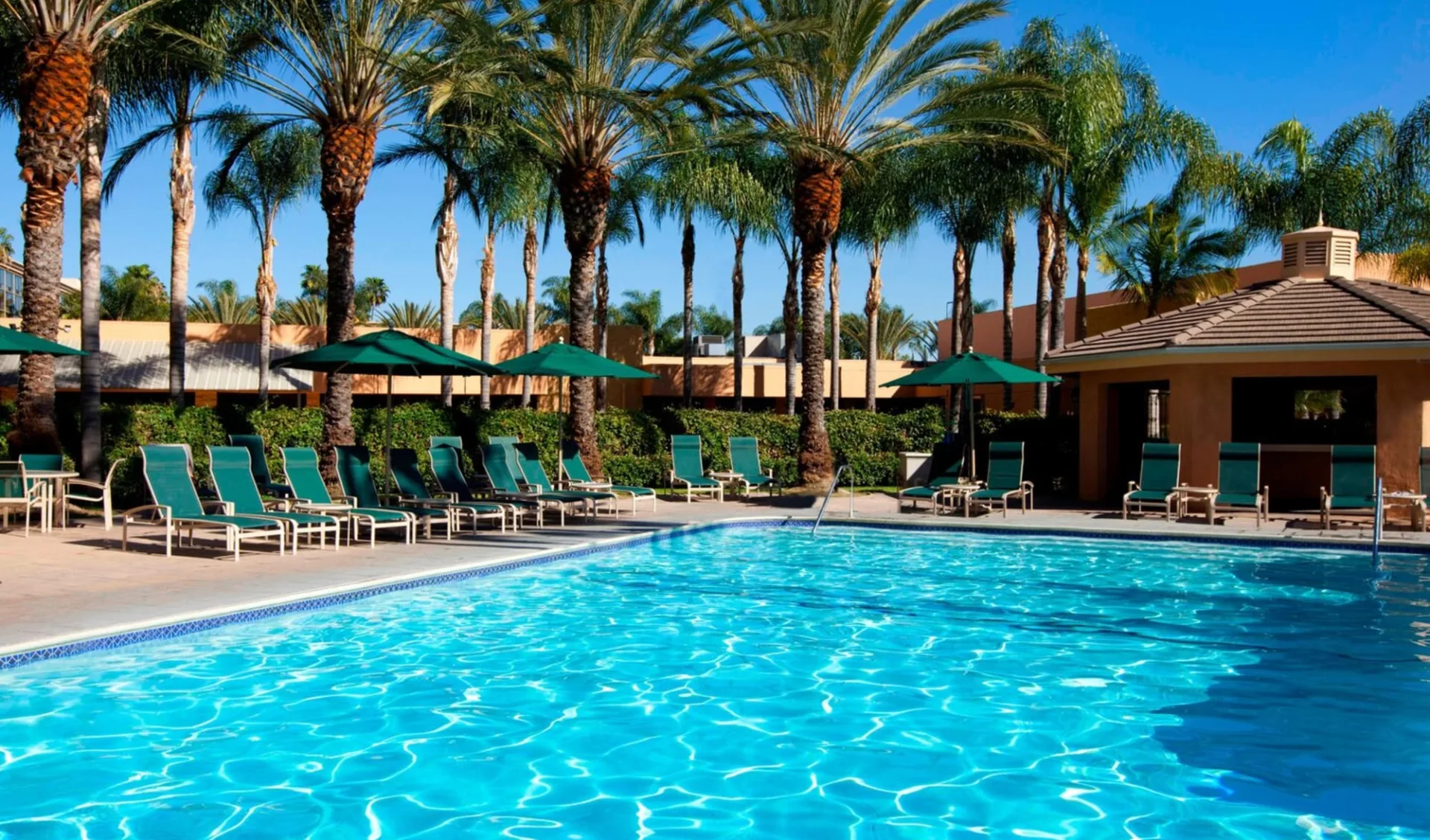 Sheraton Park Hotel at the Anaheim Resort: Sheraton Park Hotel Anaheim - Pool