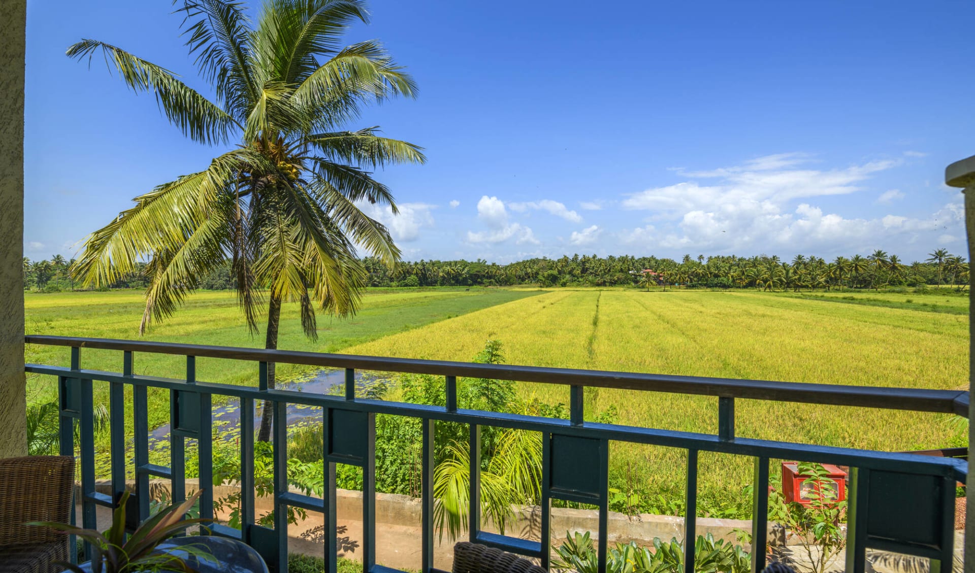 Beleza By The Beach in Goa: Superior Paddy View Room