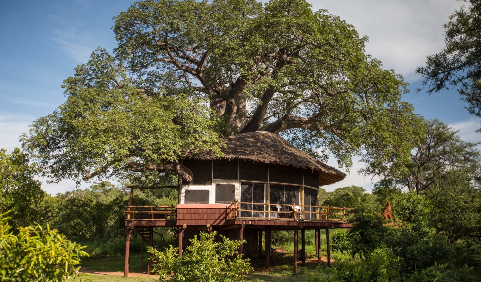 Tanzania Sky Safari ab Arusha: room: Tent