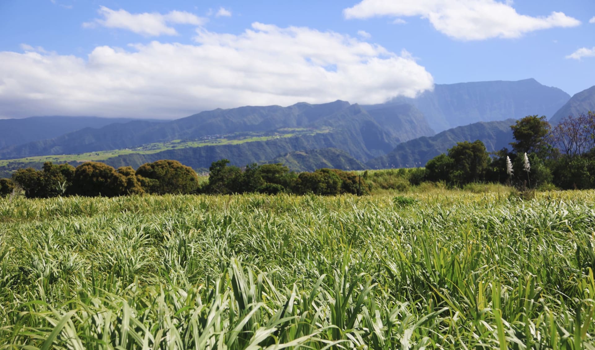 La Réunion Nord-/Südküste ab Saint-Denis: Saint-Pierre