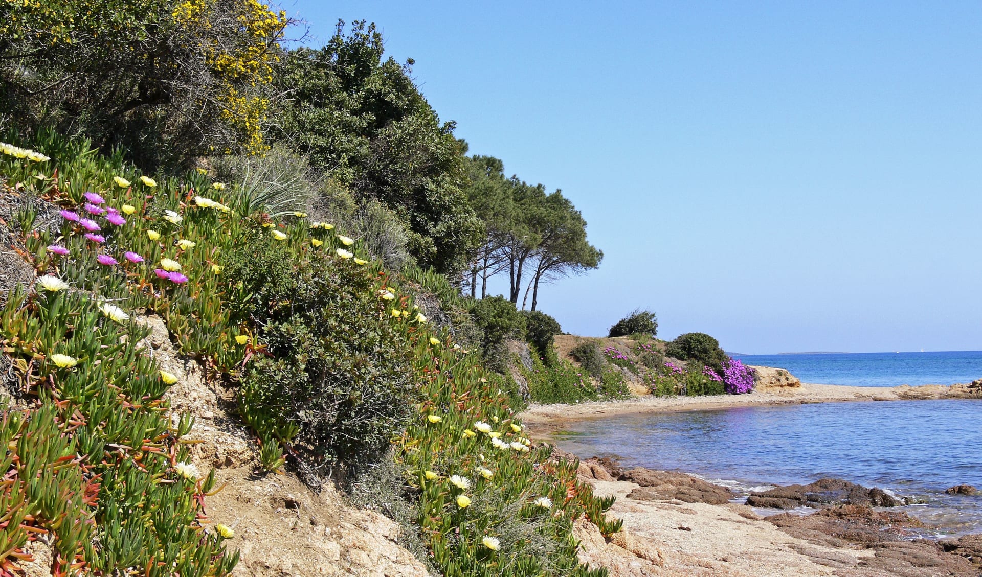 Badeferien im Resort Cala di Falco ab Nordsardinien: Sardinien_Cannigione _Bucht_