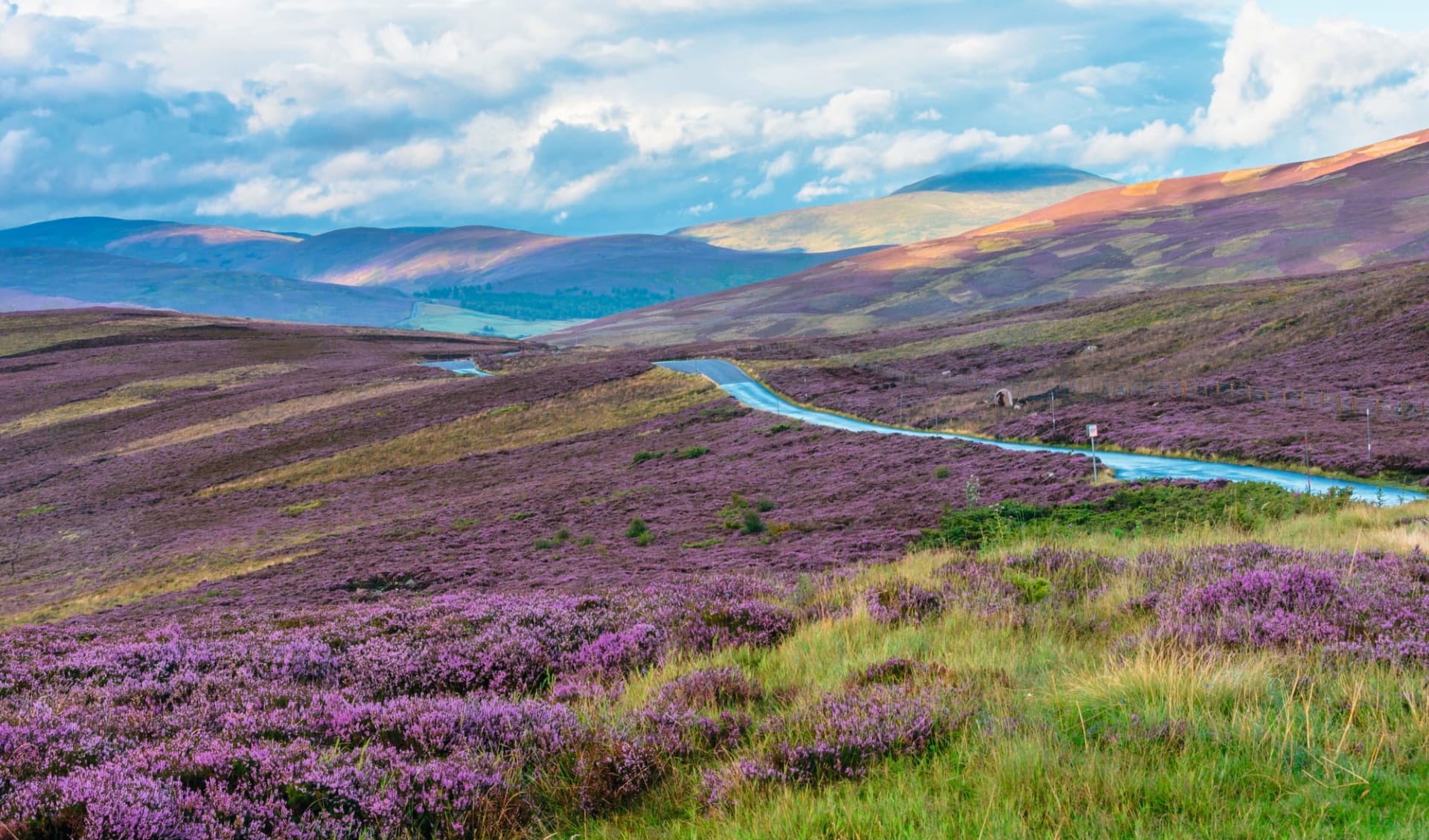 Royal Scotsman ab Edinburgh: Schottland_ Grampians_