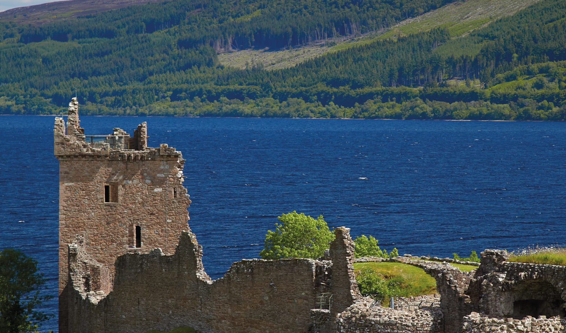 Herrschaftliches Schottland ab Edinburgh: Schottland_LochNess_UrquhartCastle_shutterstock