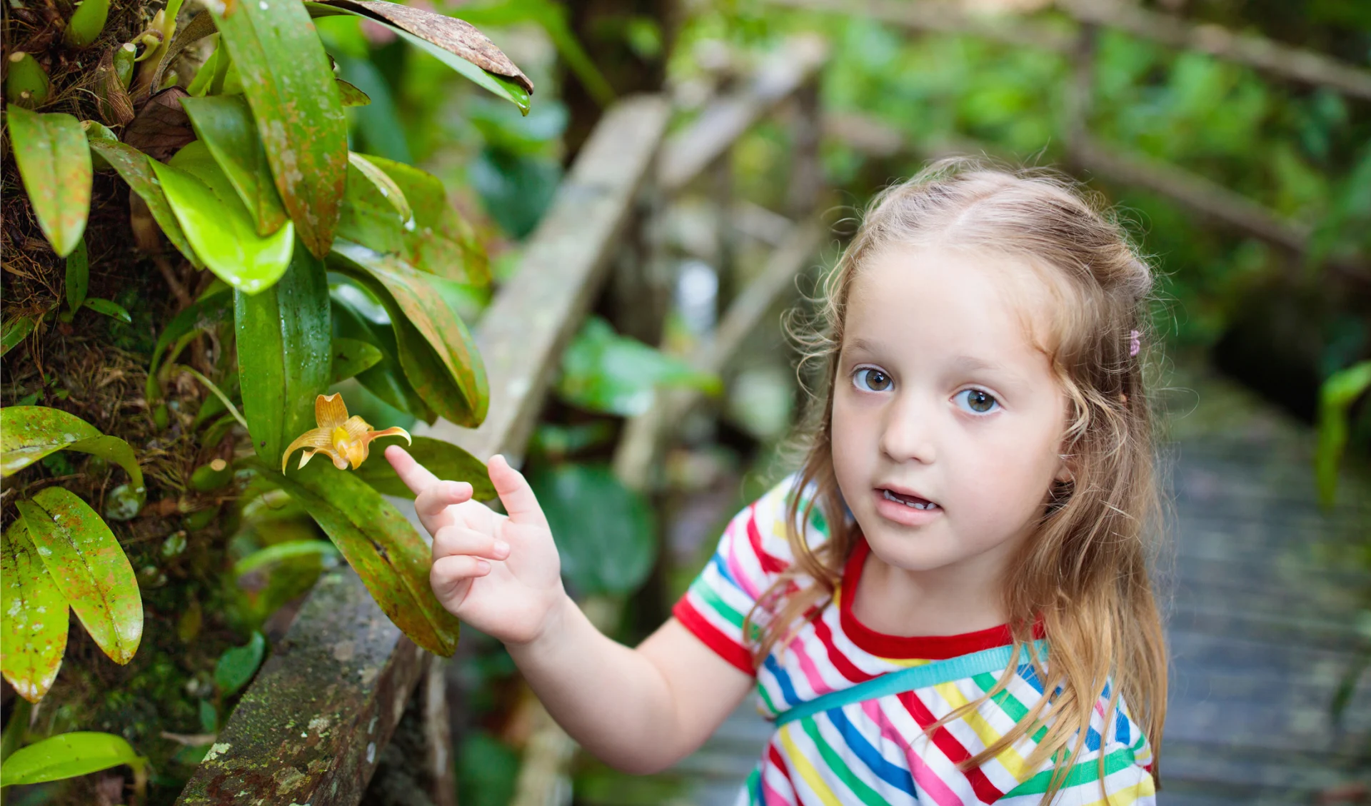 Kid walking in exotic forest with flowers, Seychelles