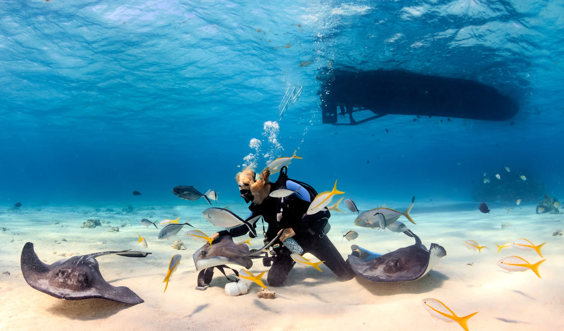 SCUBA-Taucher auf den Seychellen, der mit Stingrochen in flachem Wasser spielt